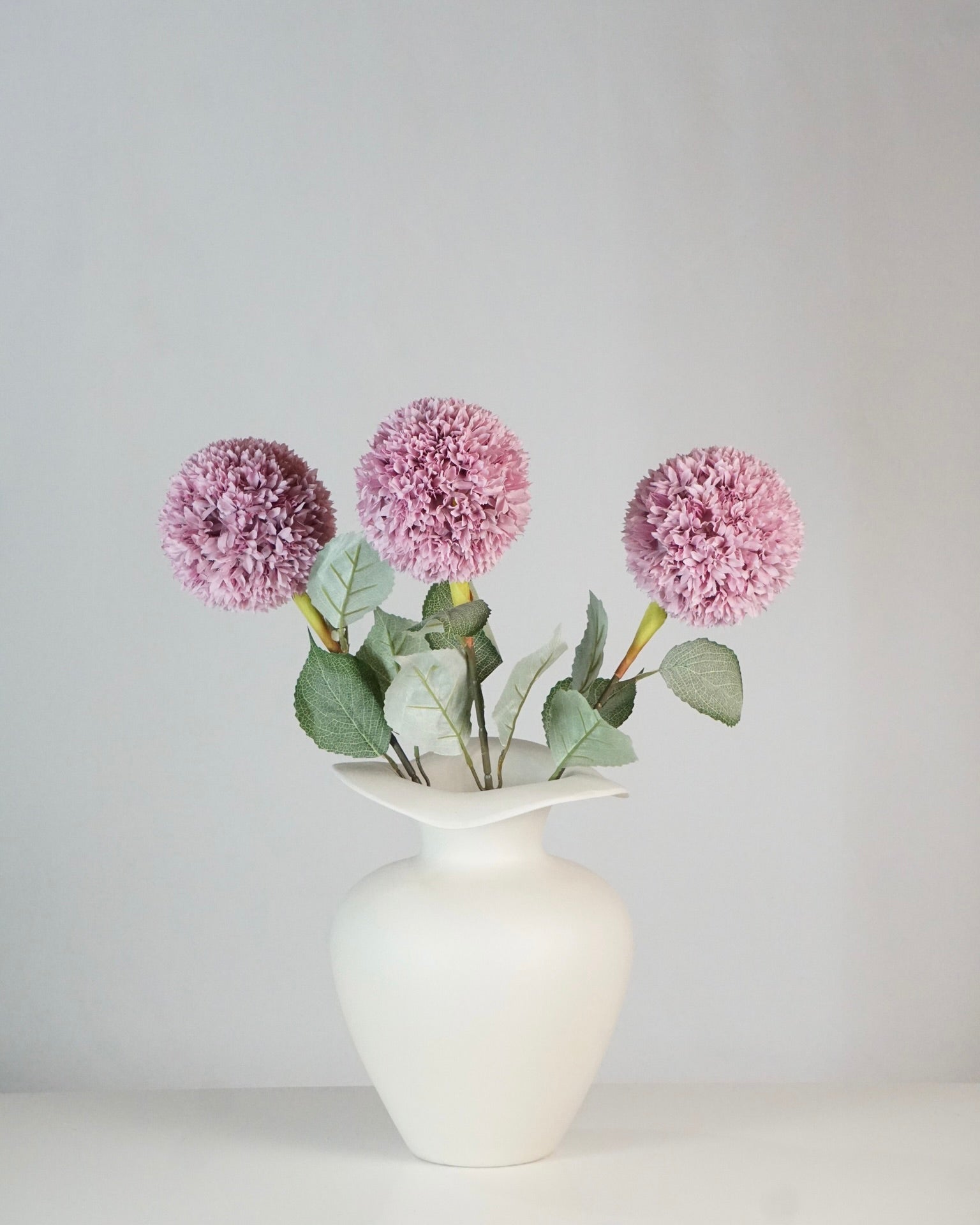 Allium Pink