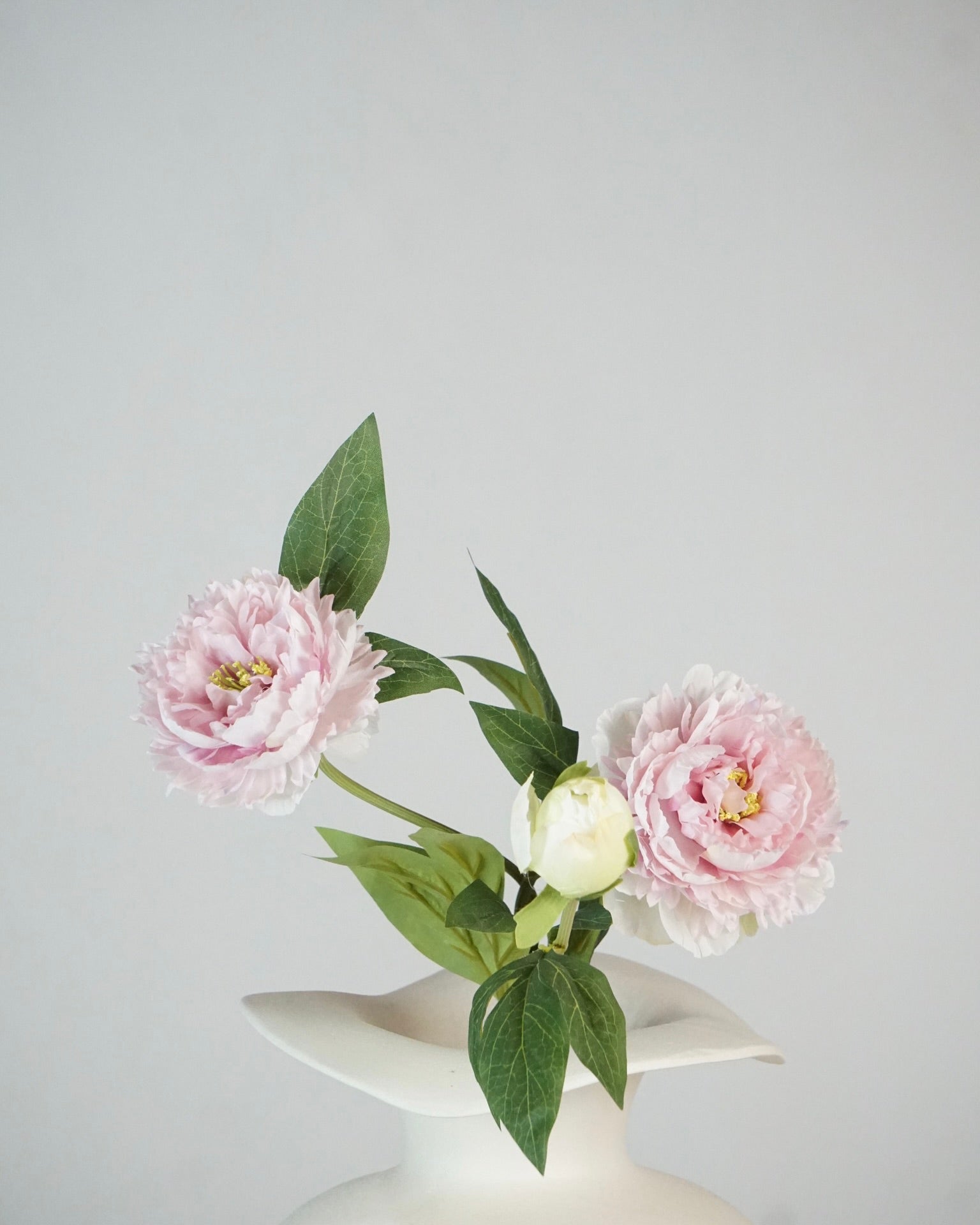 Pfingstrosen Pink