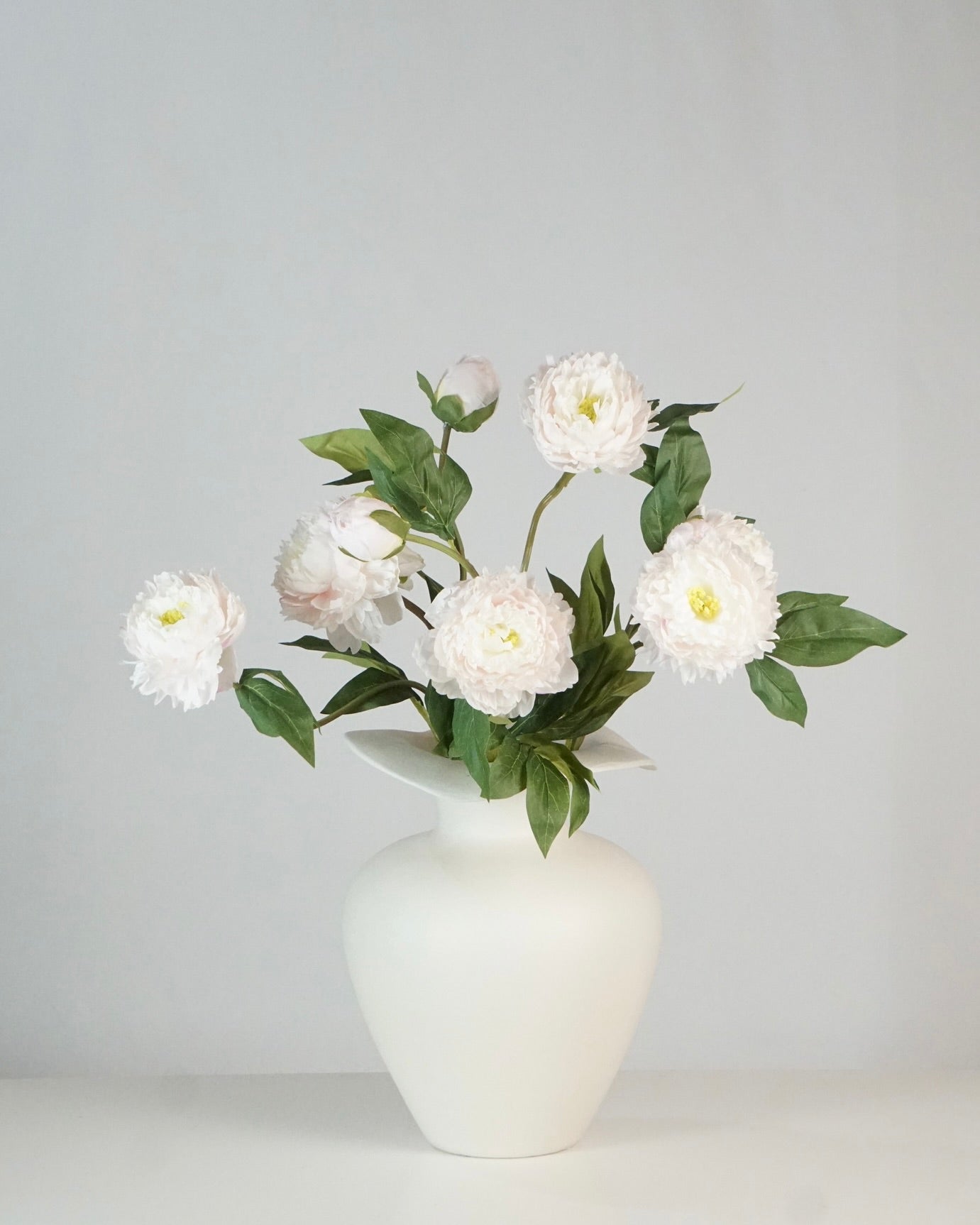 Pfingstrosen Rosa