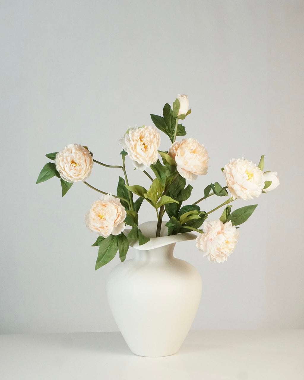 Pfingstrosen Apricot