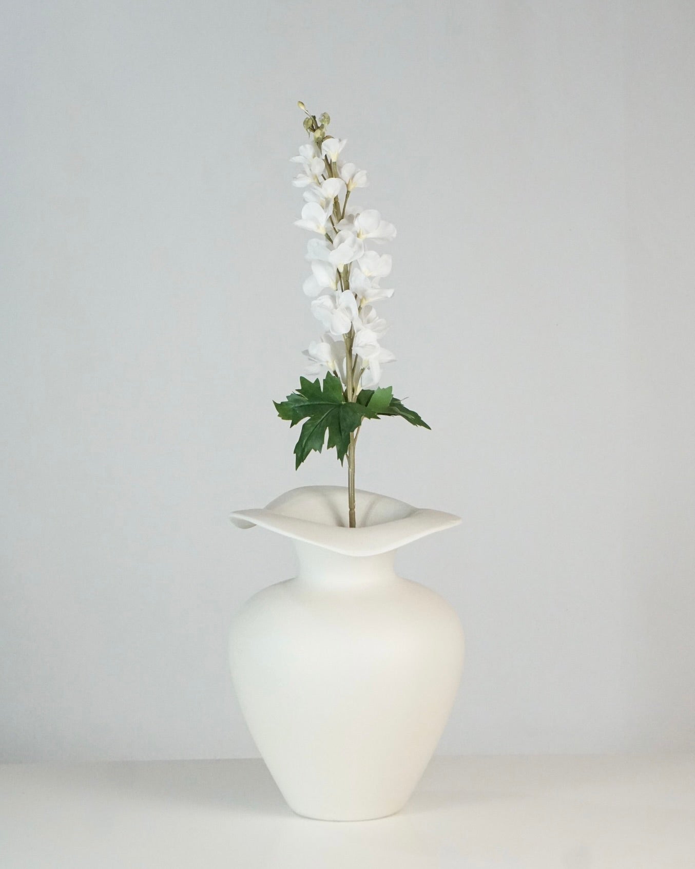 Delphinium Weiss