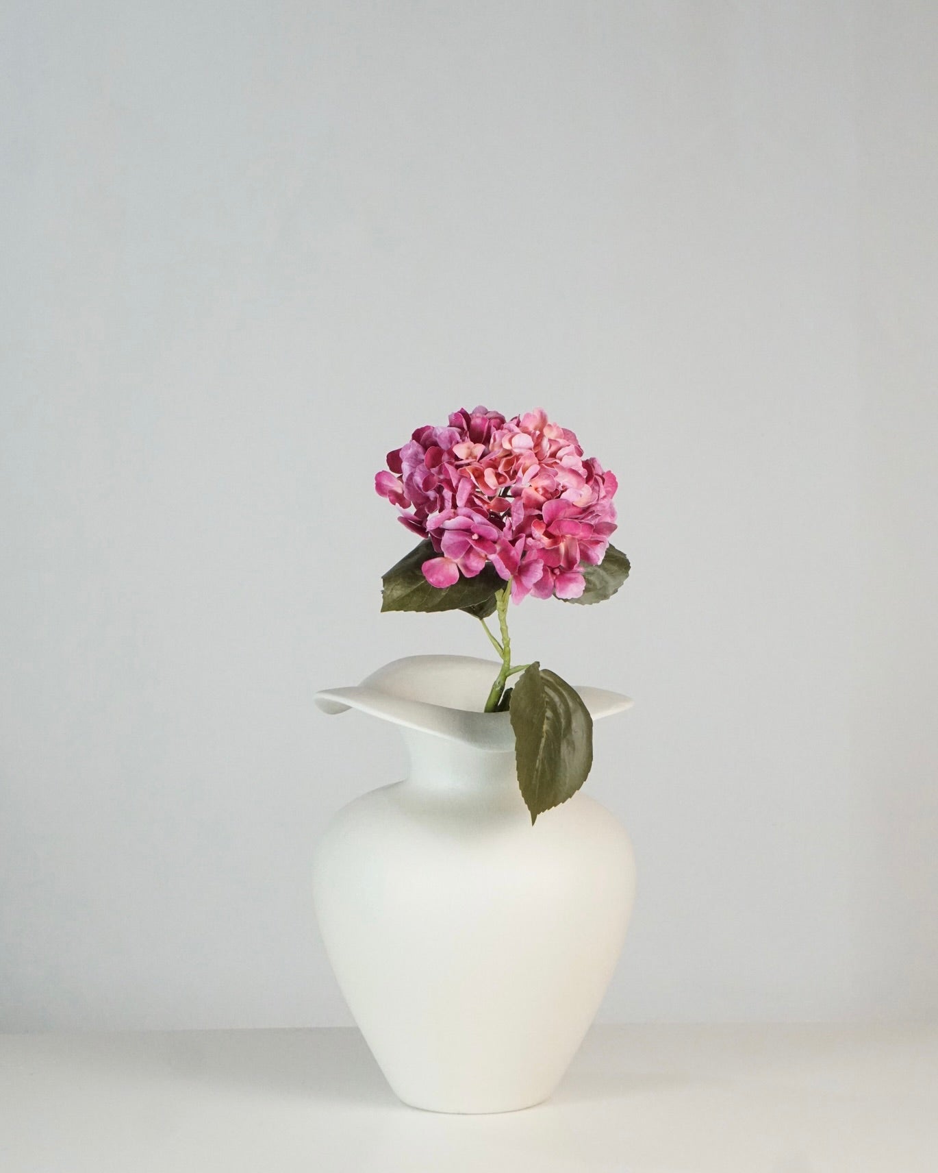 Hortensien Pink