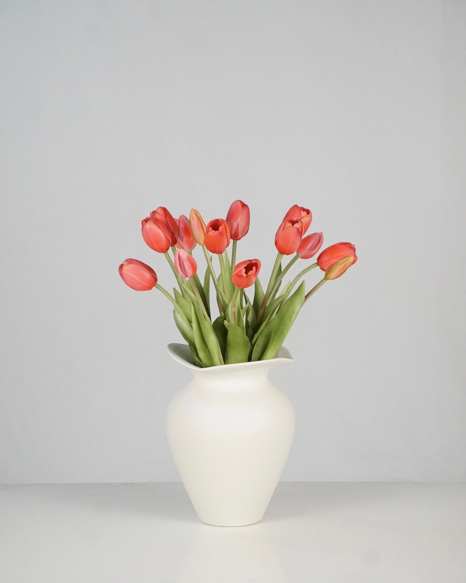 Tulipes rouges