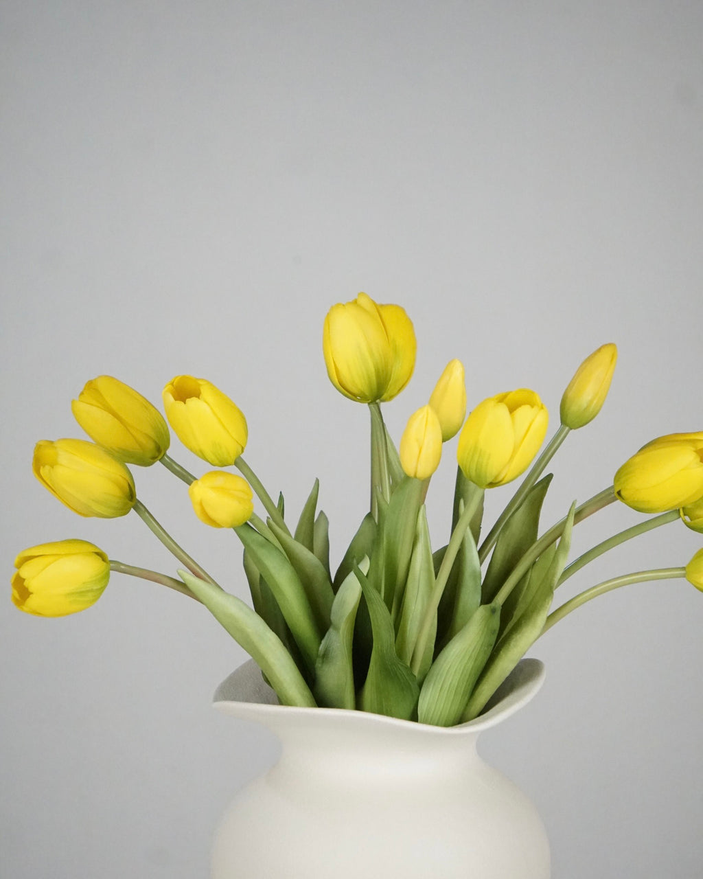 Tulpen Gelb