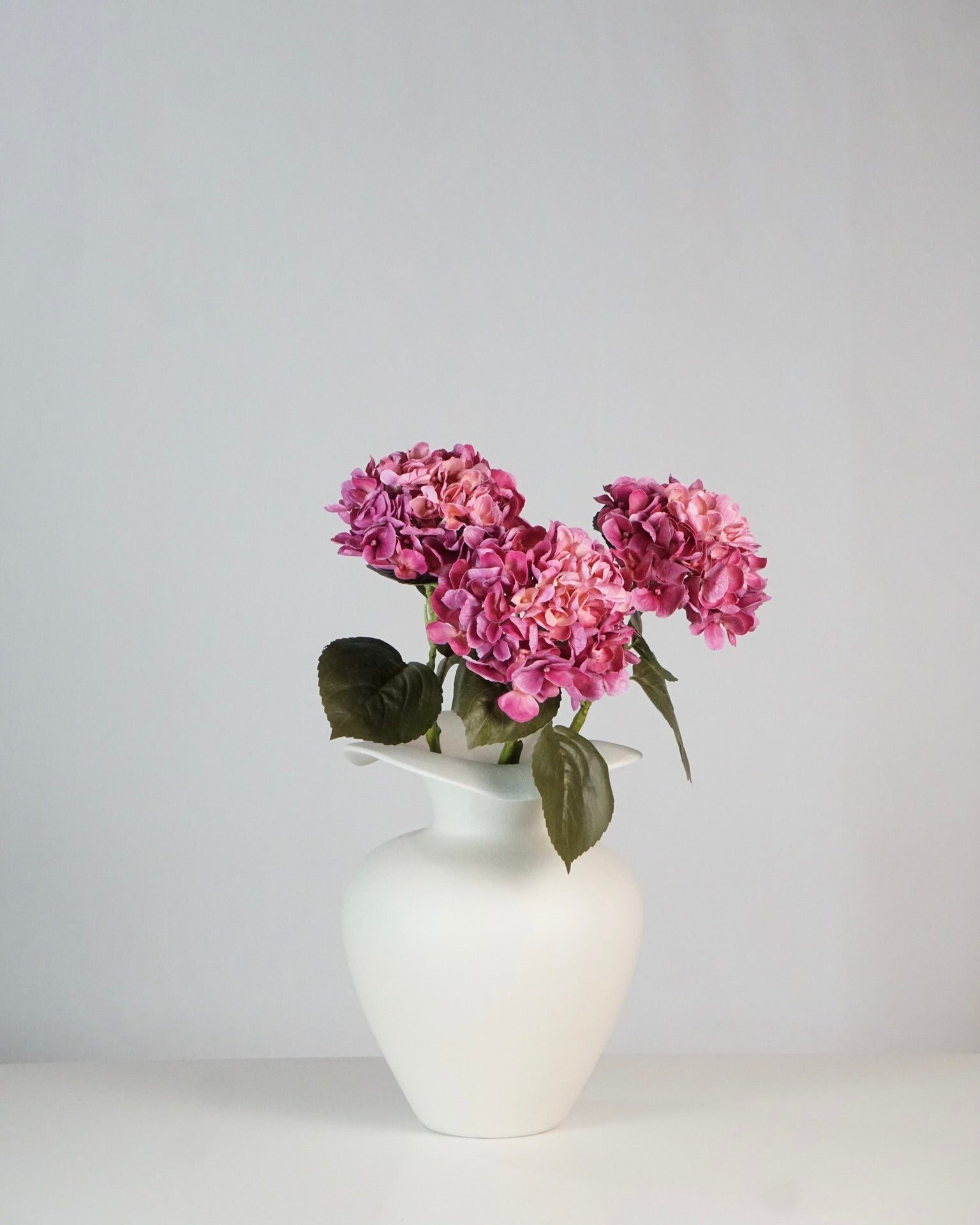 Hortensia rose