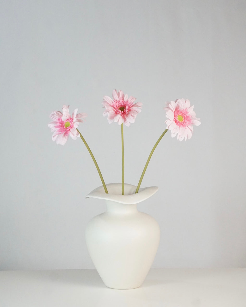 Gerbera Rosa
