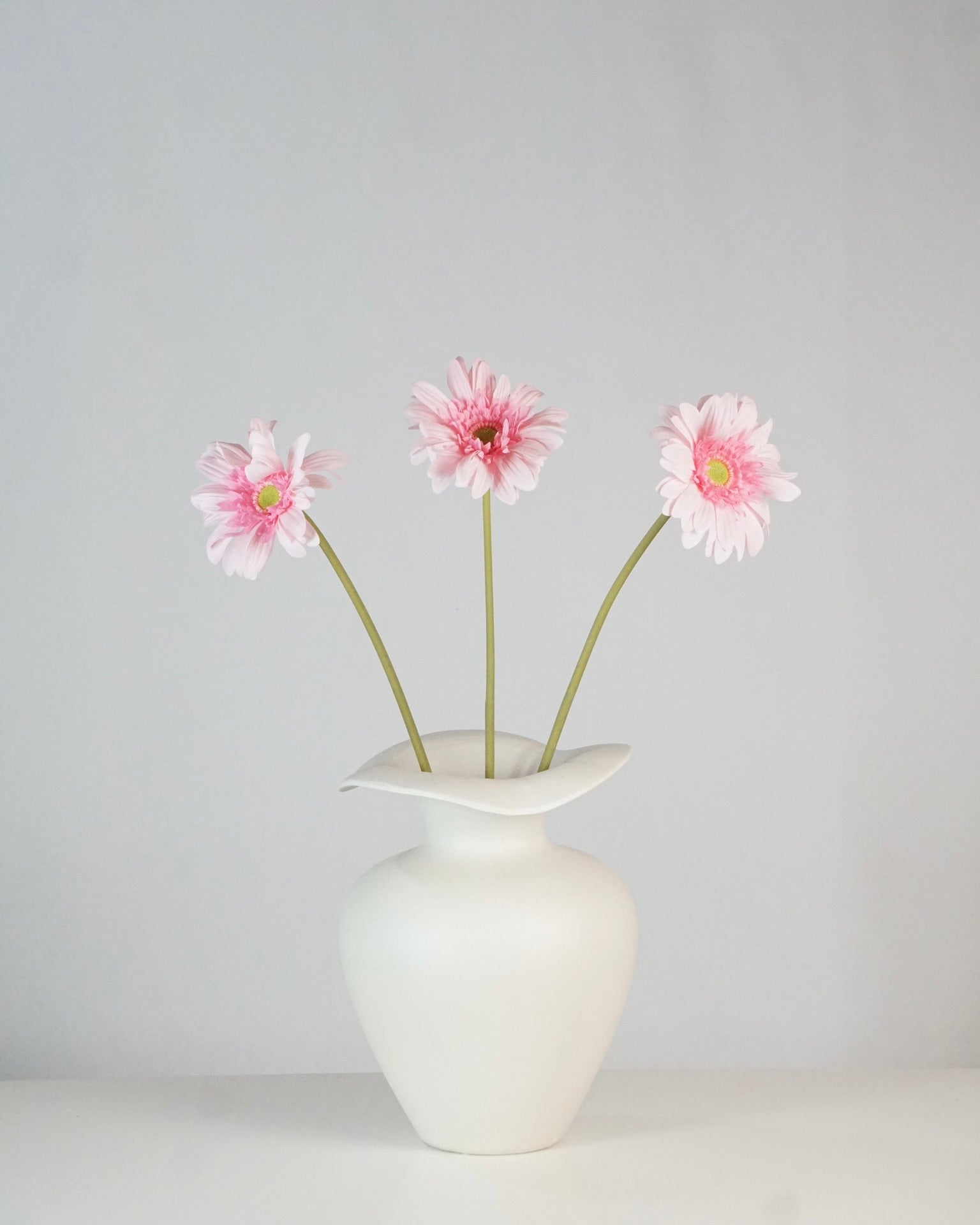 Light Pink Gerbera
