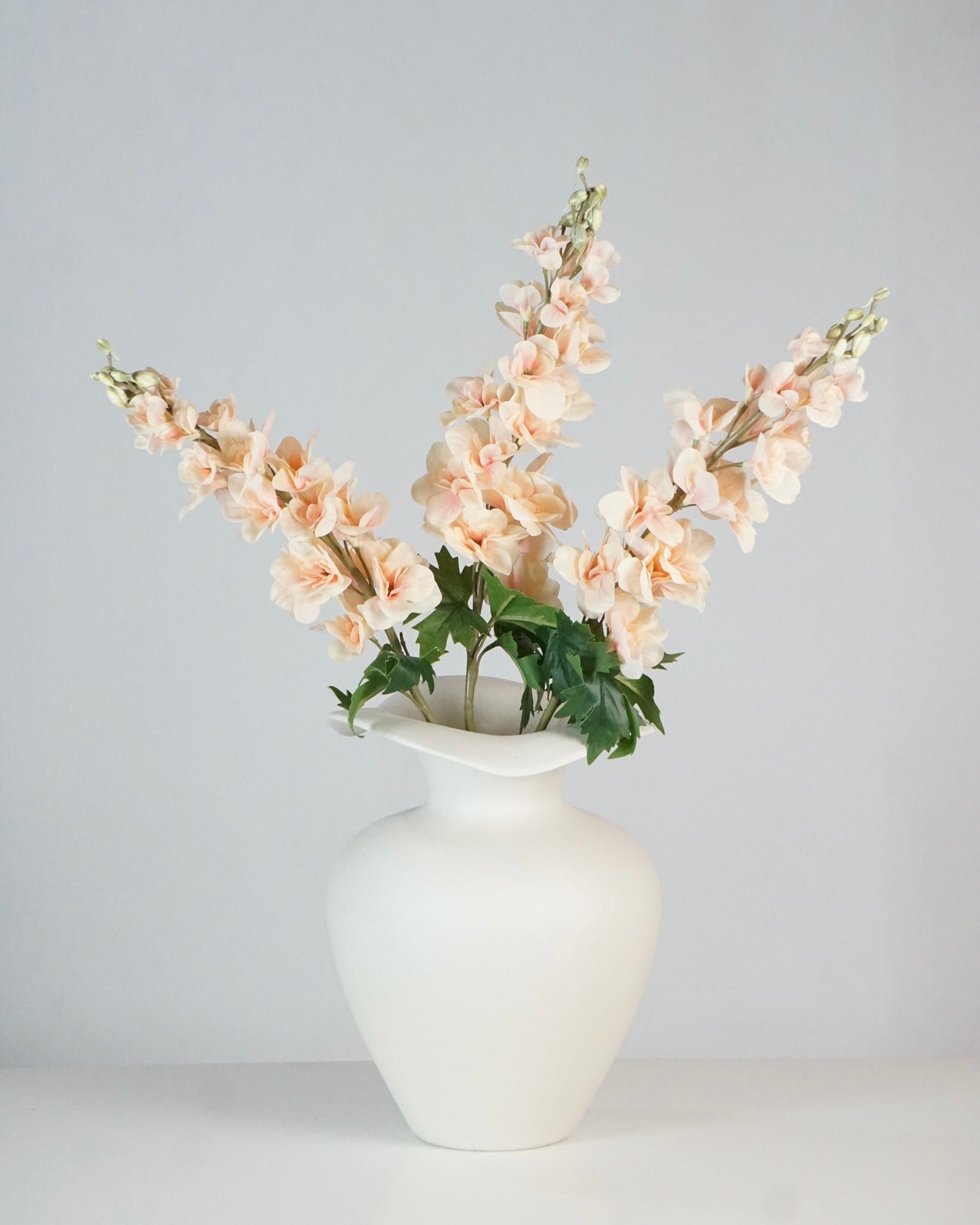 Delphinium abricotier