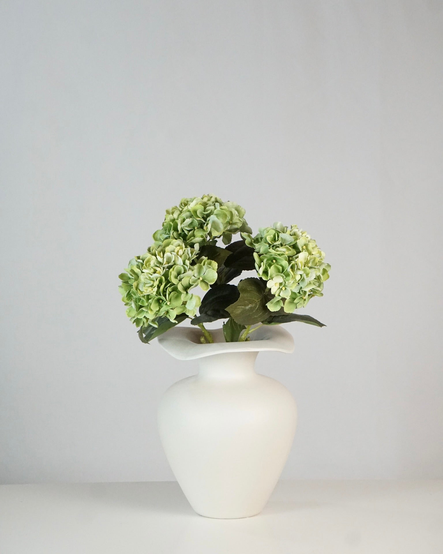 Hortensia vert
