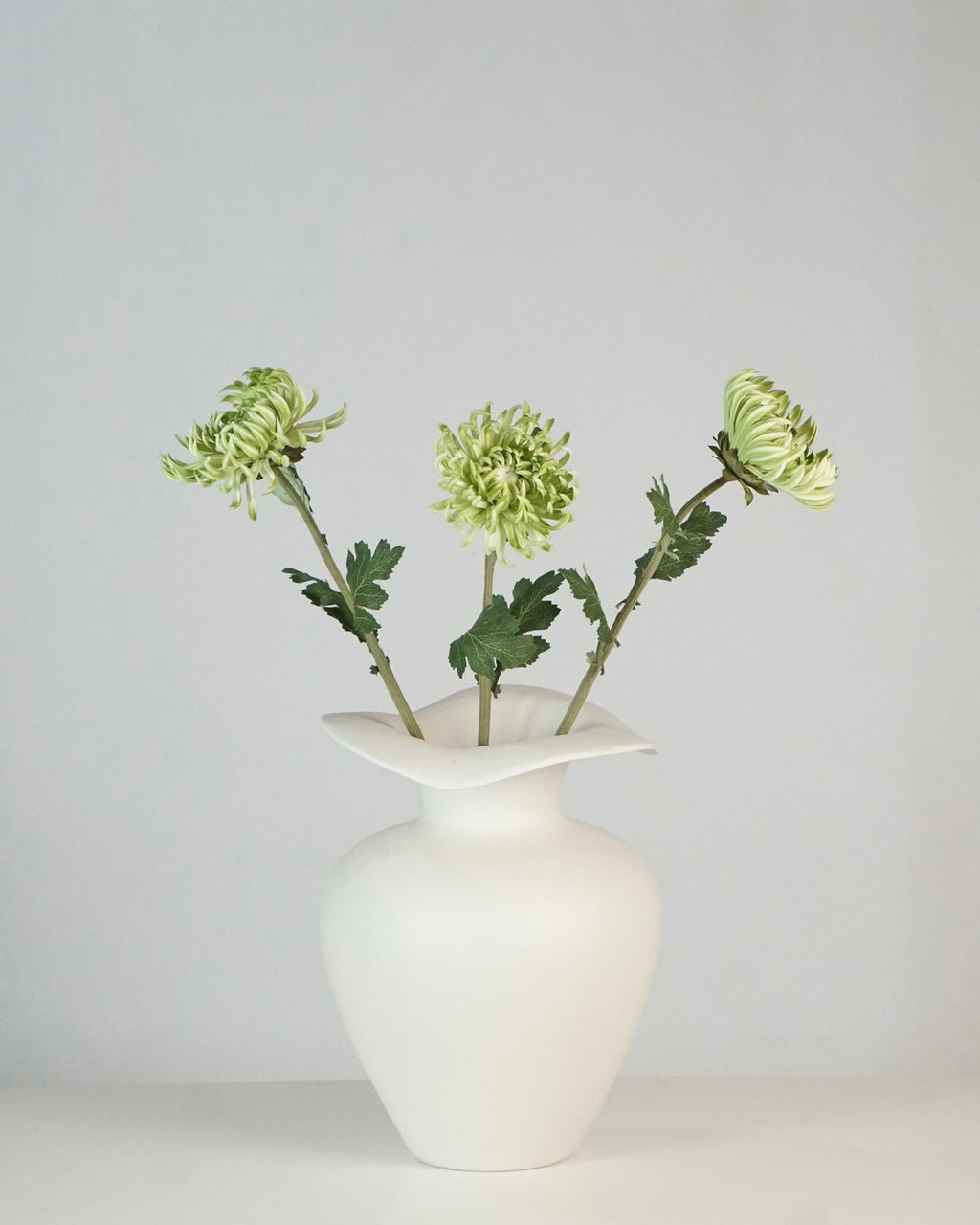 Semi-Cactus Dahlia Hellgrün