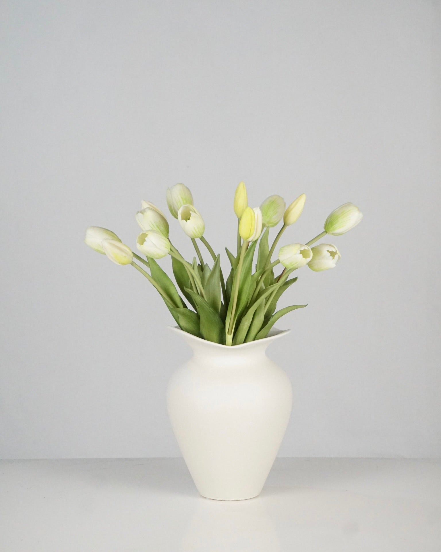 Tulpen Weiss