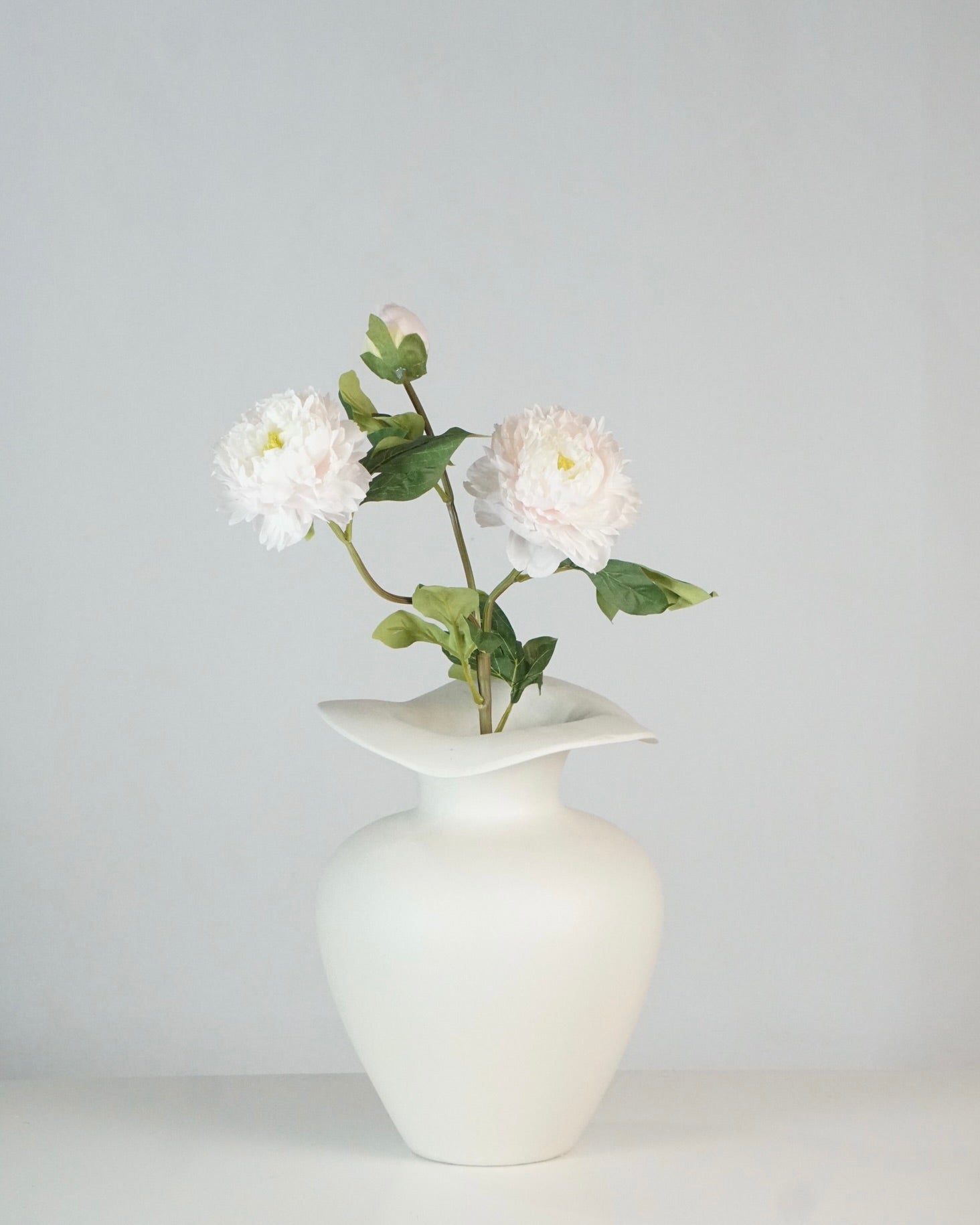 Pfingstrosen Rosa