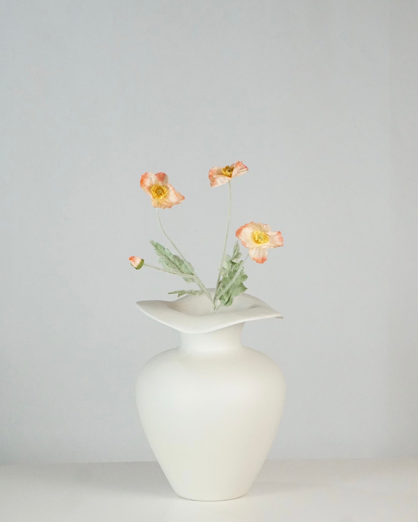 Poppy Apricot
