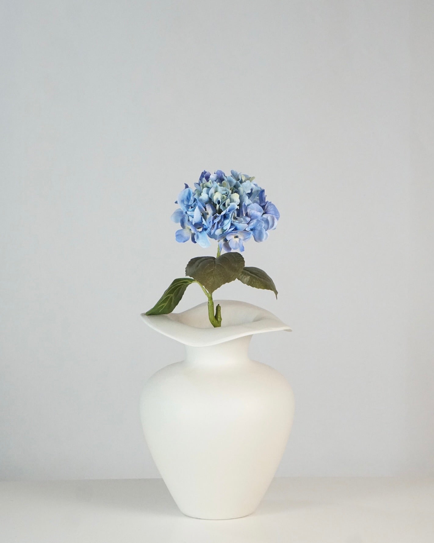 Hortensien Blau