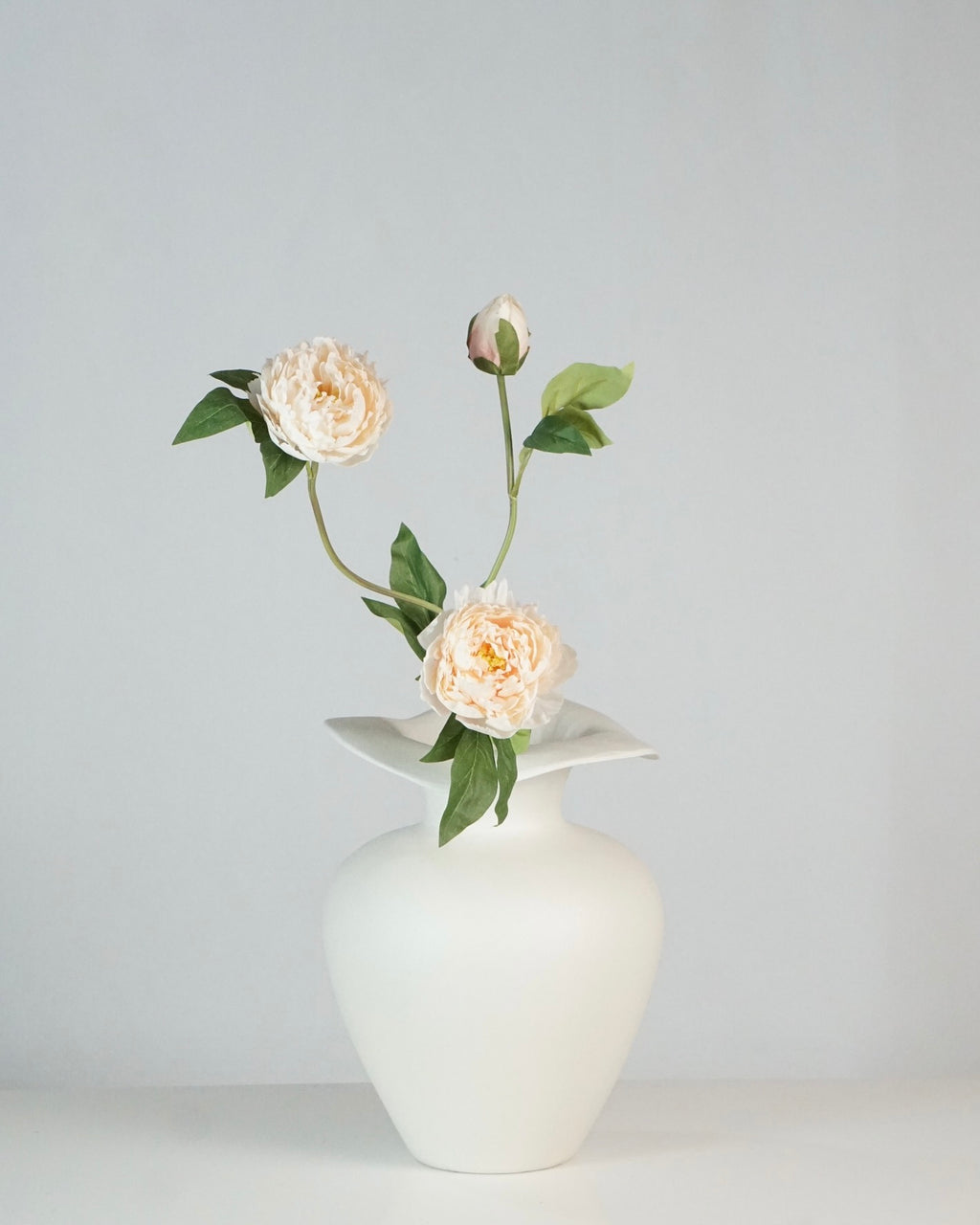 Pfingstrosen Apricot