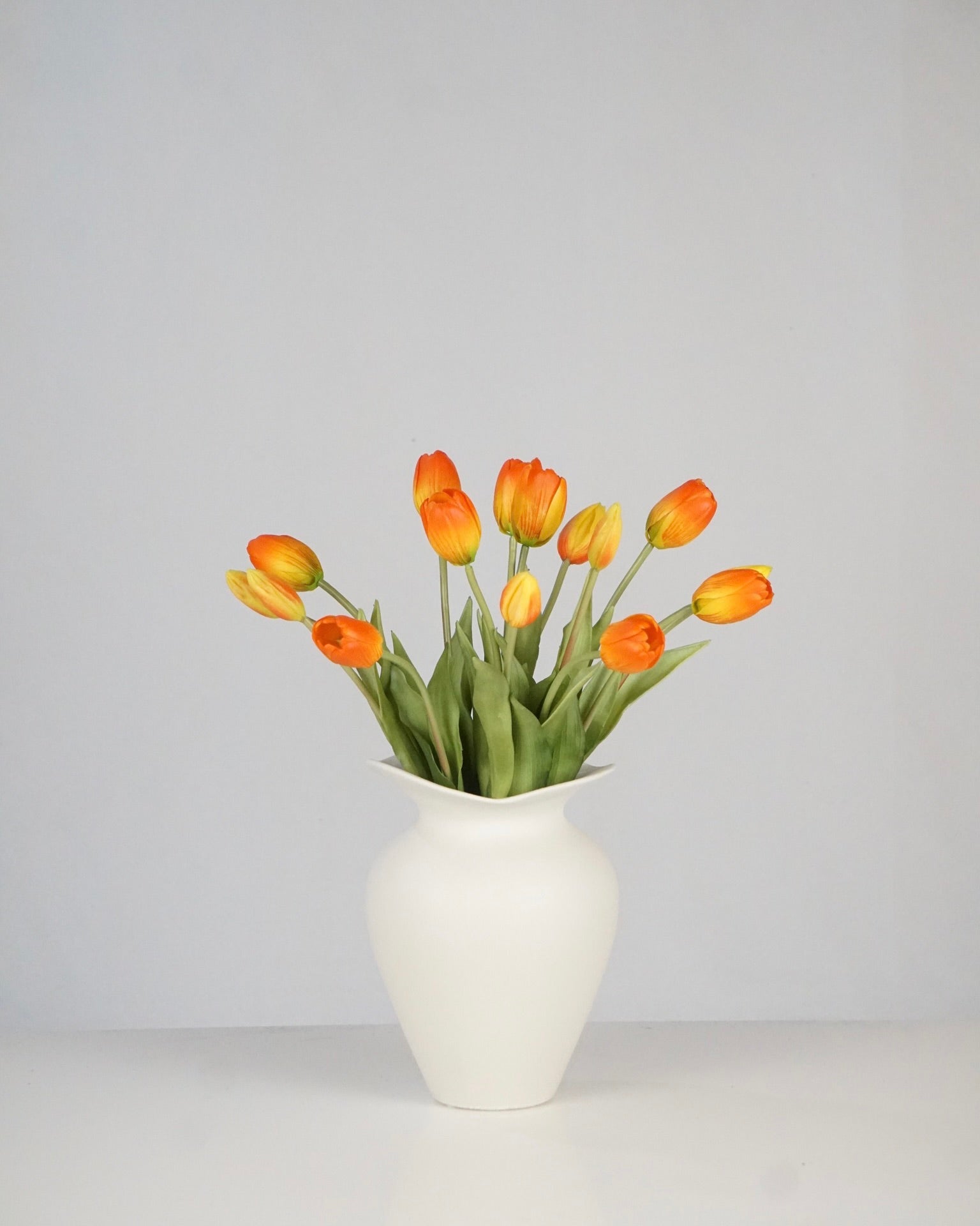 Tulpen Orange