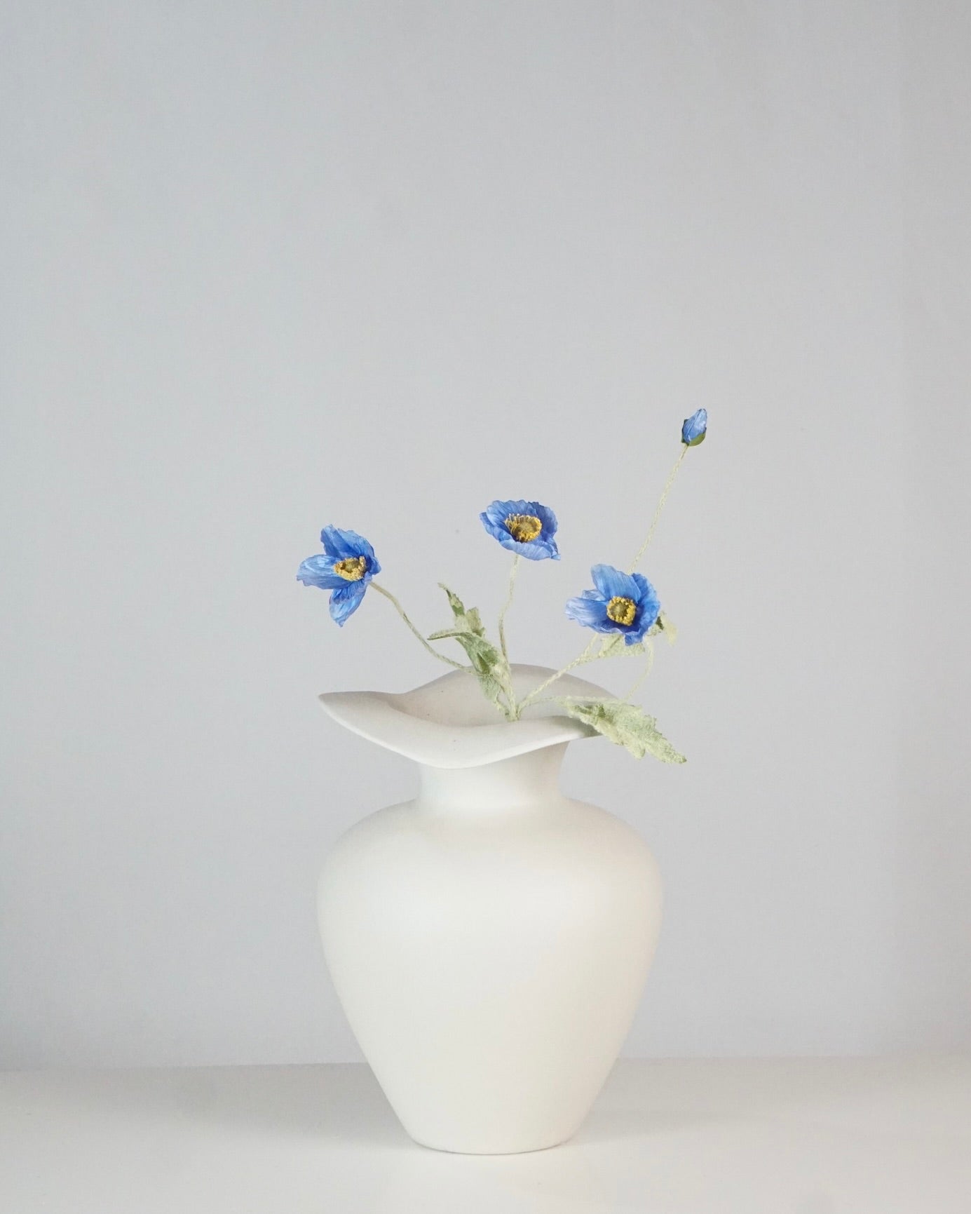 Poppy Blau