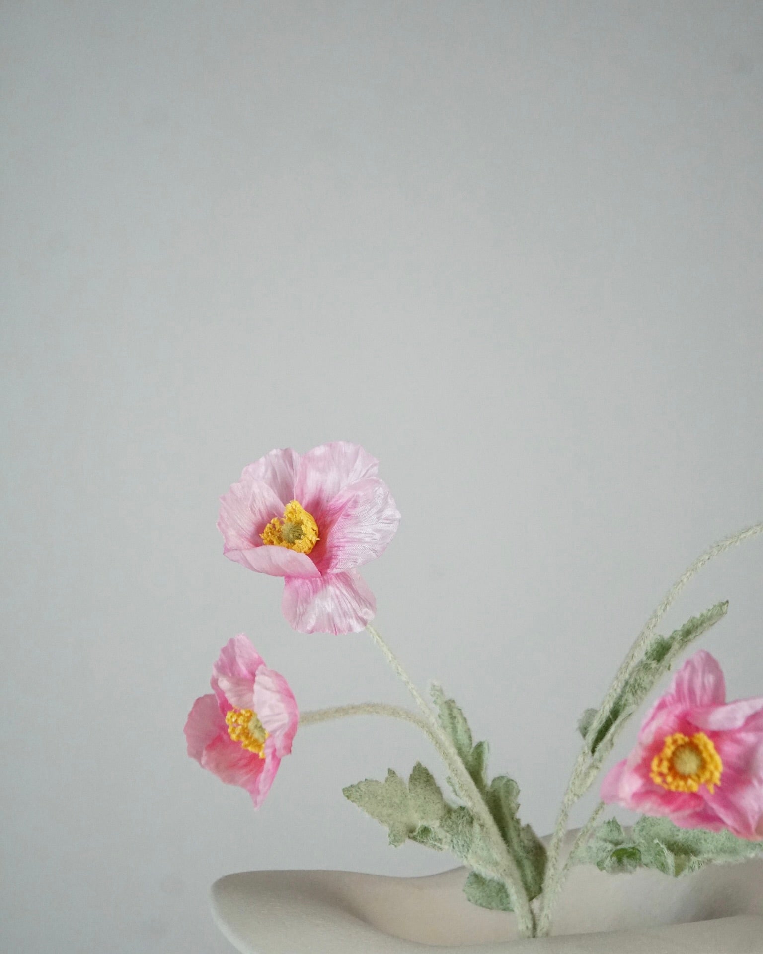 Poppy Pink