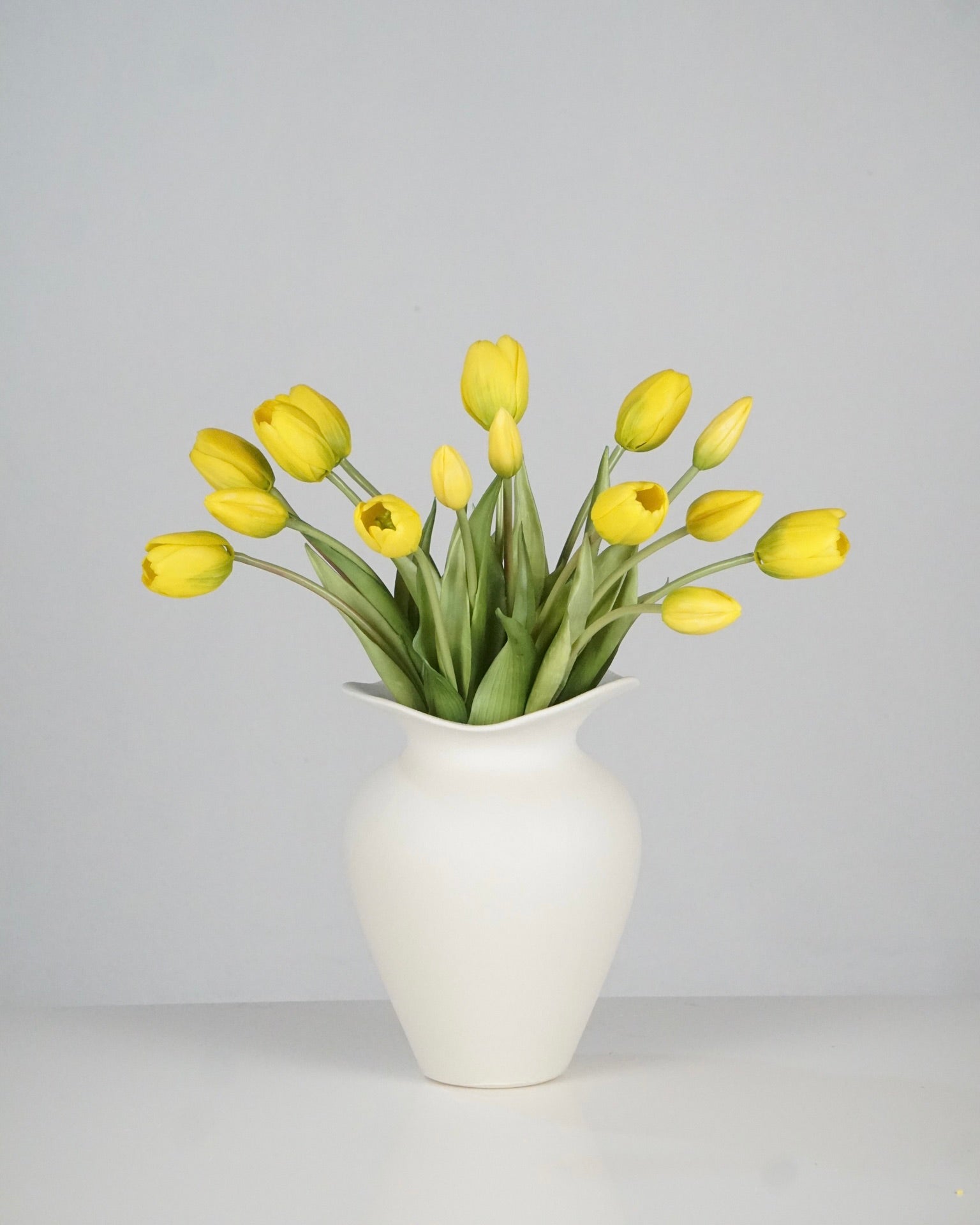 Tulpen Gelb