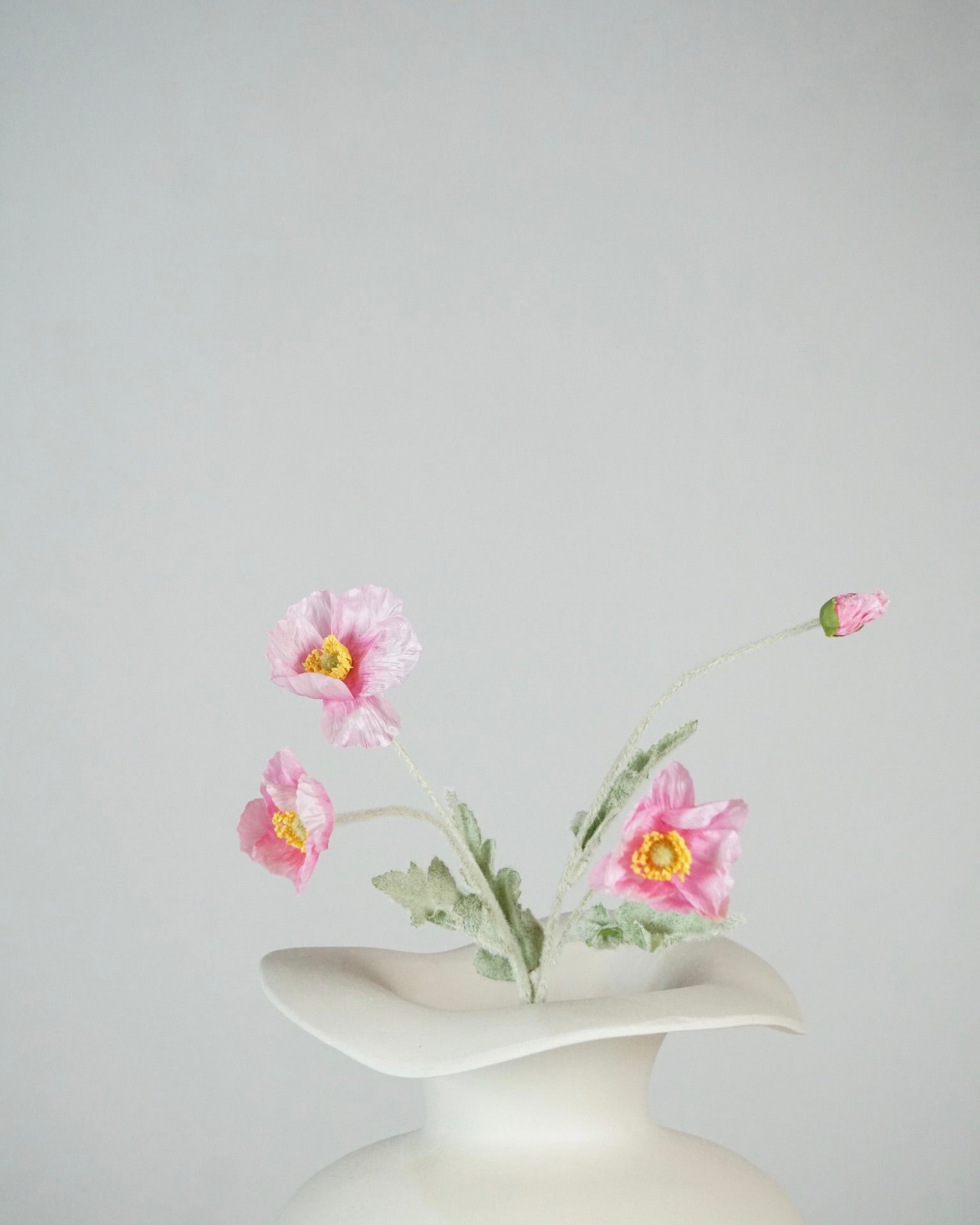 Poppy Pink