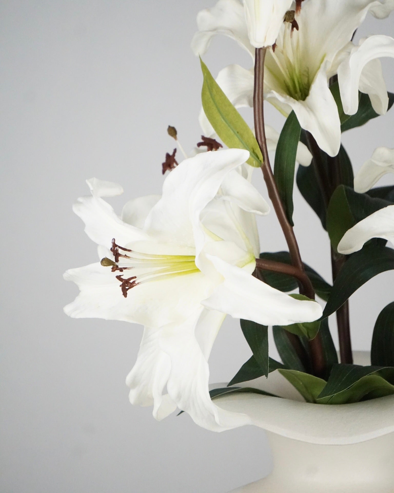 Elegant Lilies