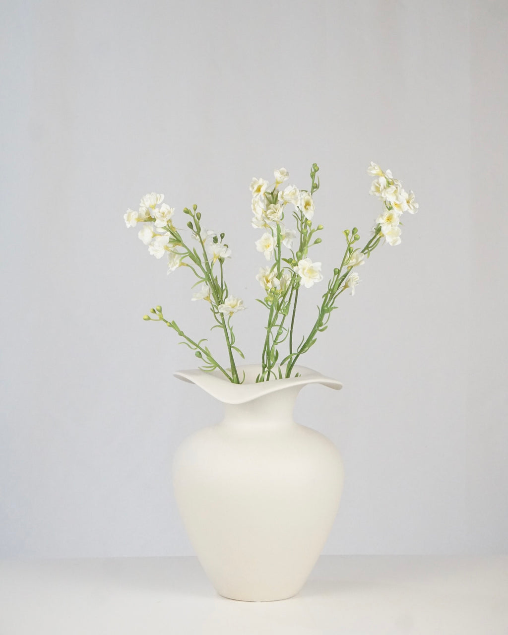 Delphinium Klein Weiss