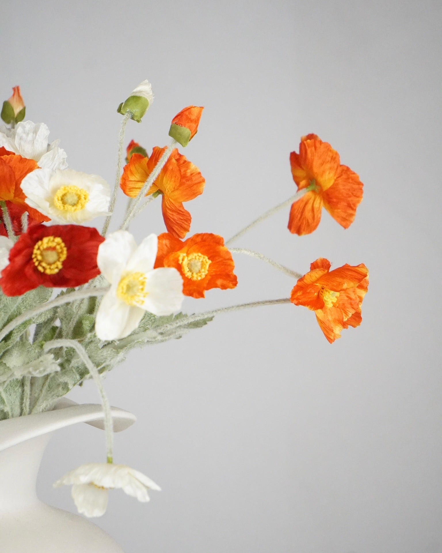 Poppy Dream
