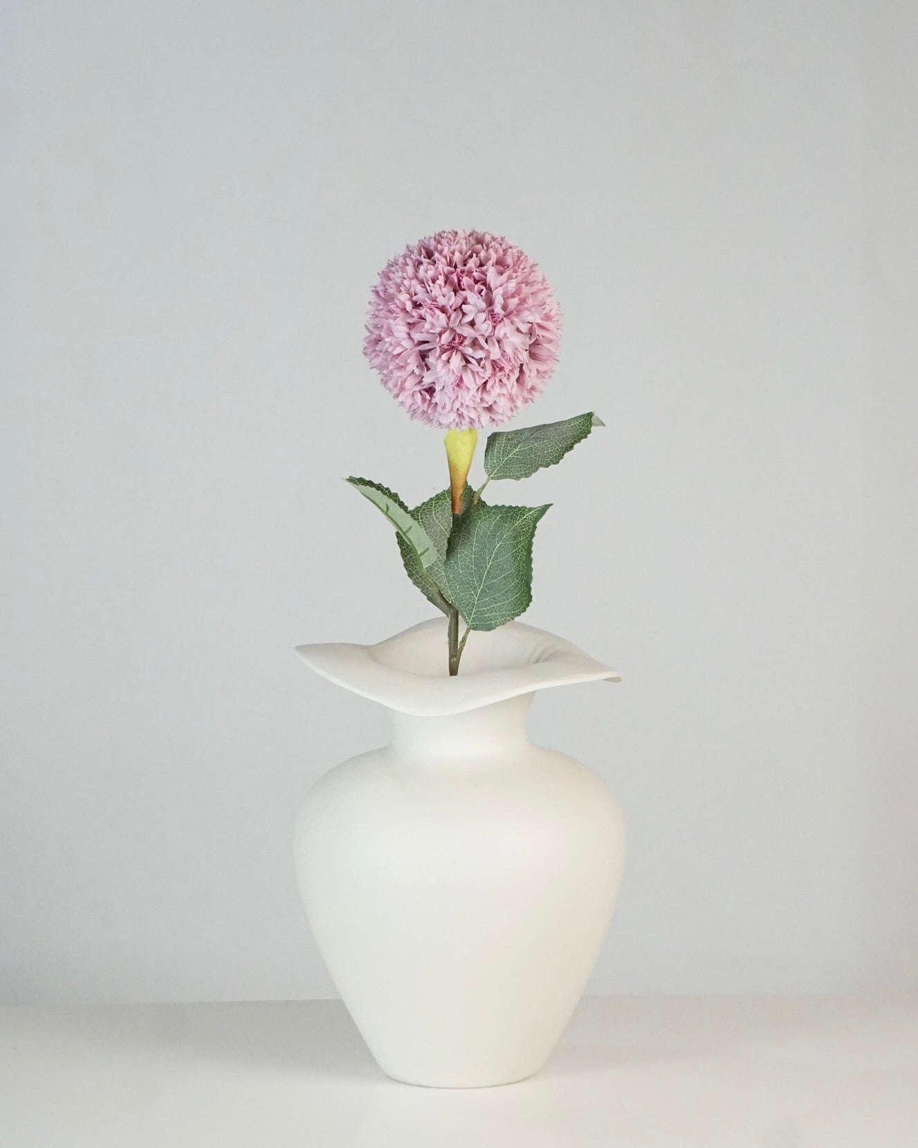 Allium Pink