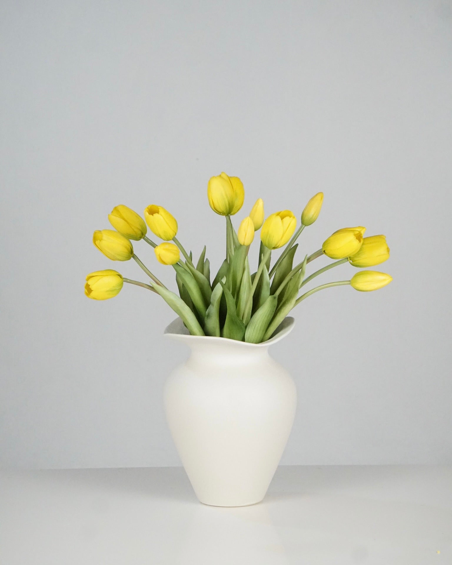Tulpen Gelb
