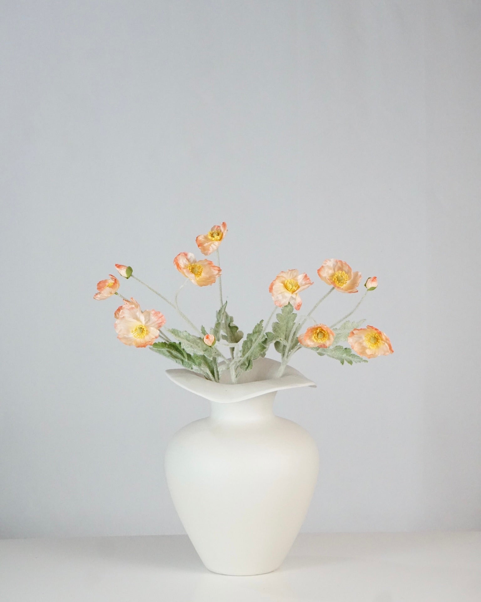 Poppy Apricot