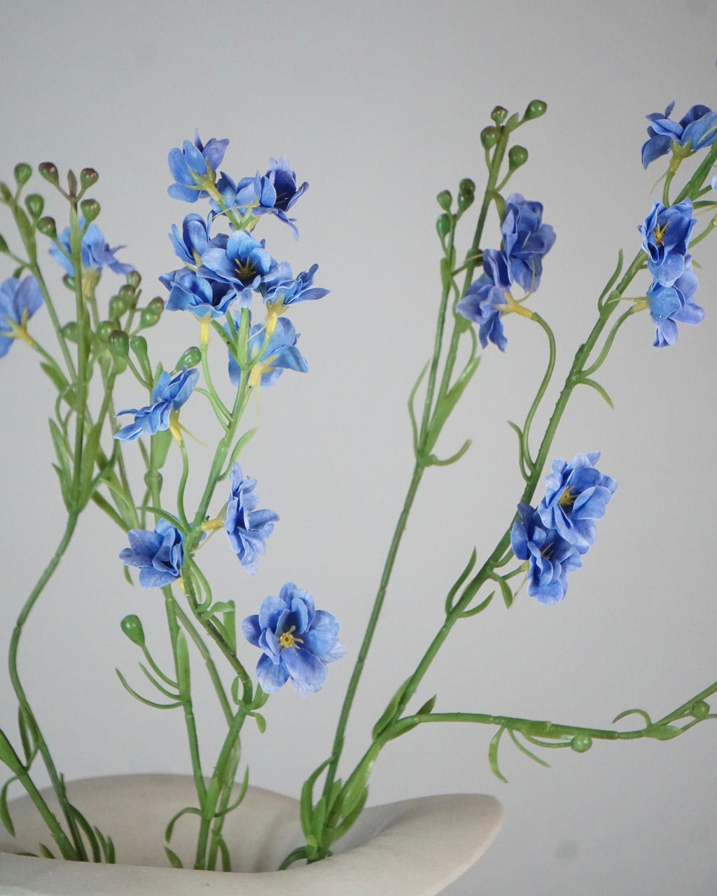Delphinium Klein Blau