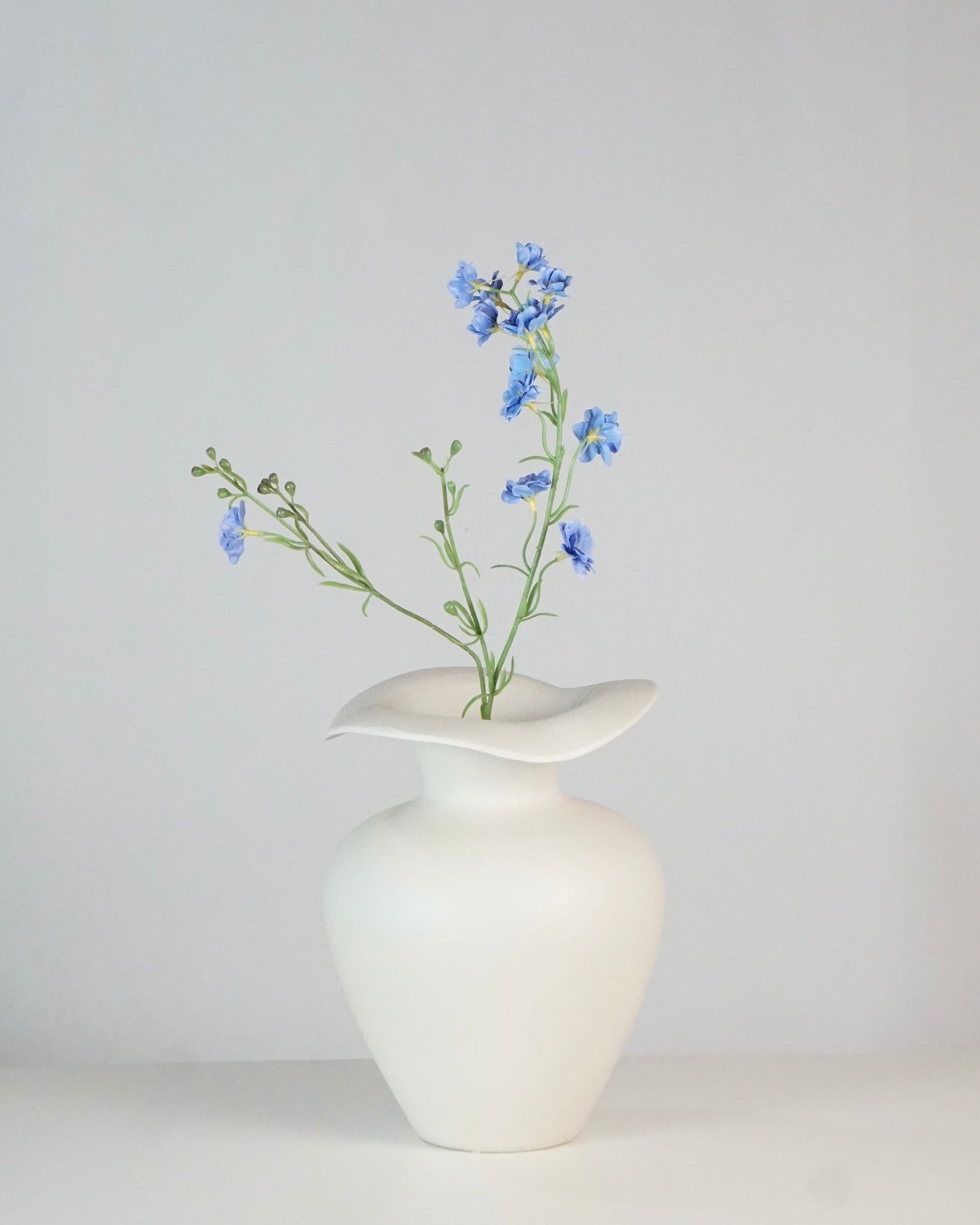 Delphinium Klein Blau