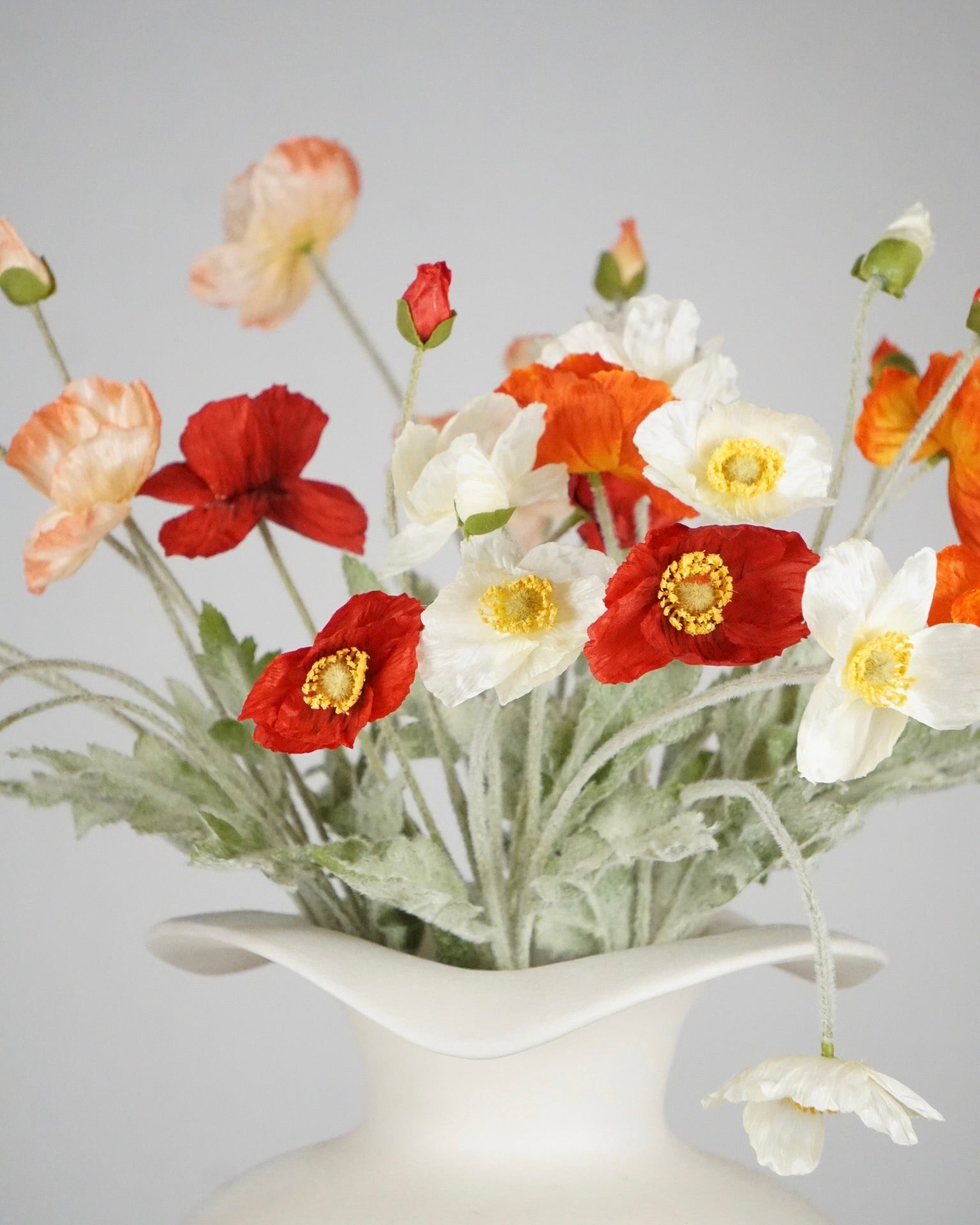 Poppy Dream