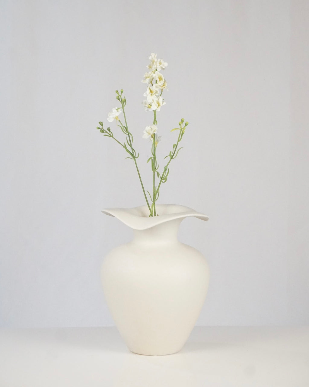 Delphinium Klein Weiss