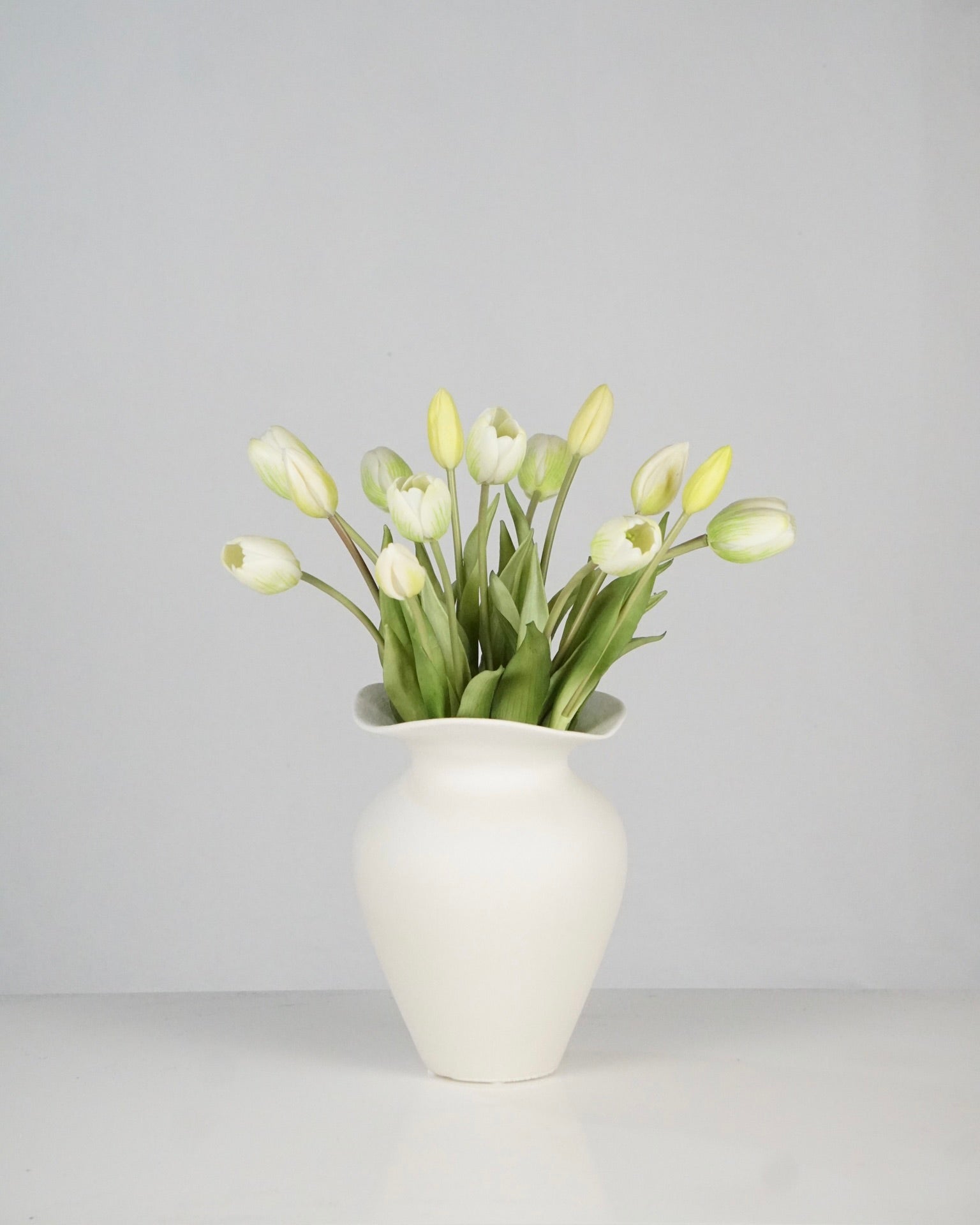 Tulpen Weiss
