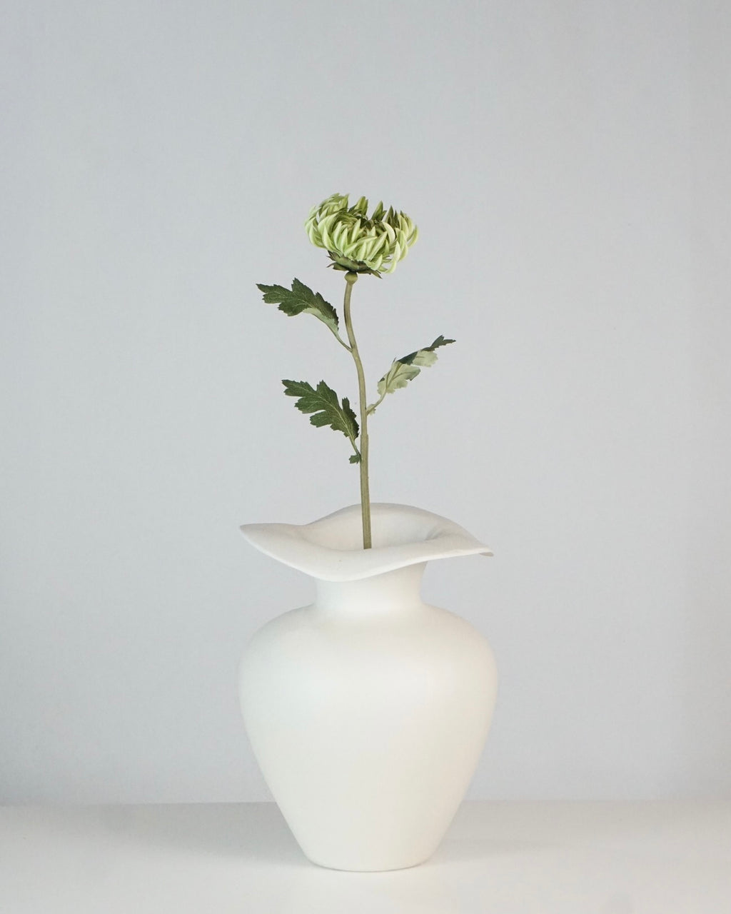 Semi-Cactus Dahlia Hellgrün