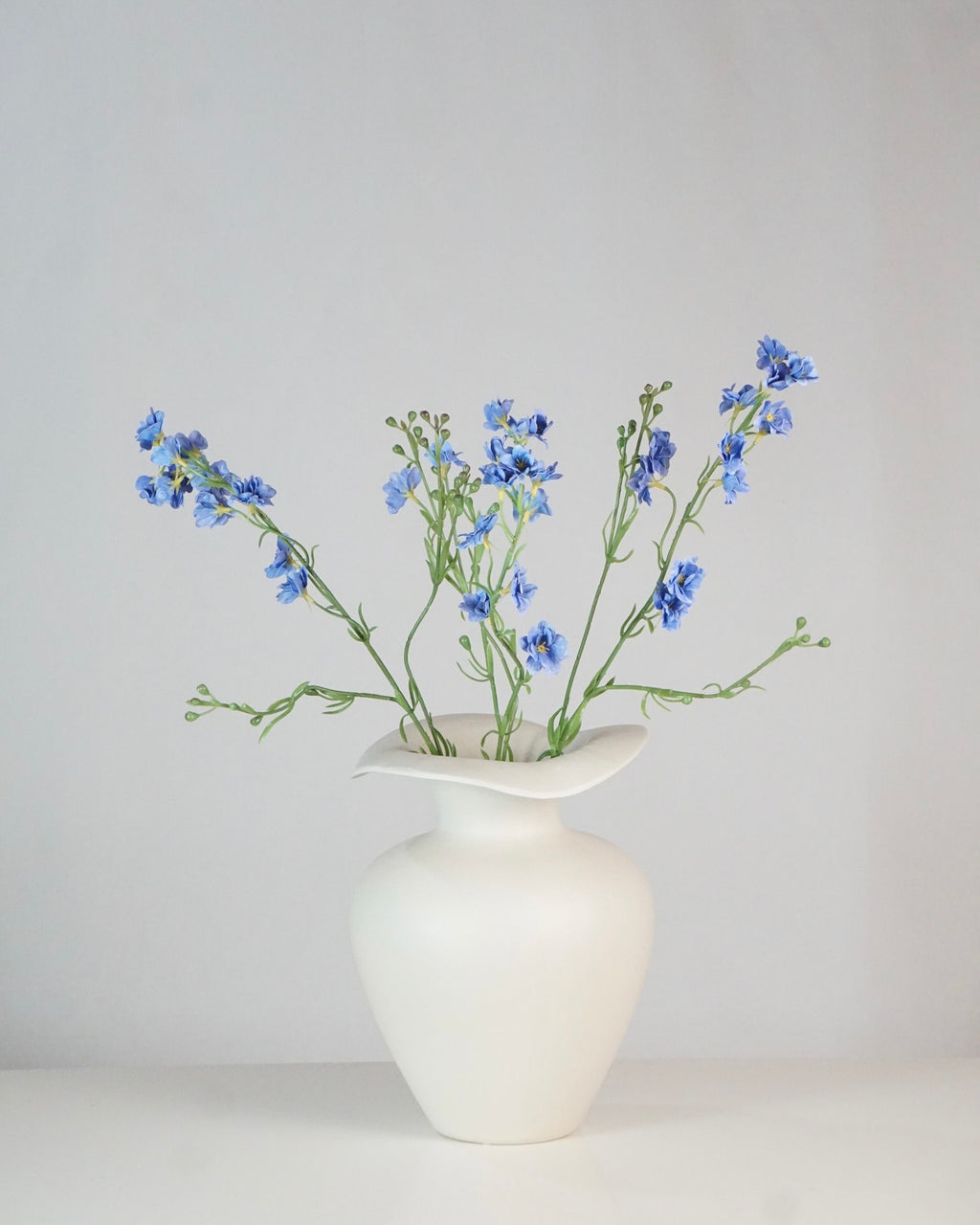 Delphinium Klein Blau