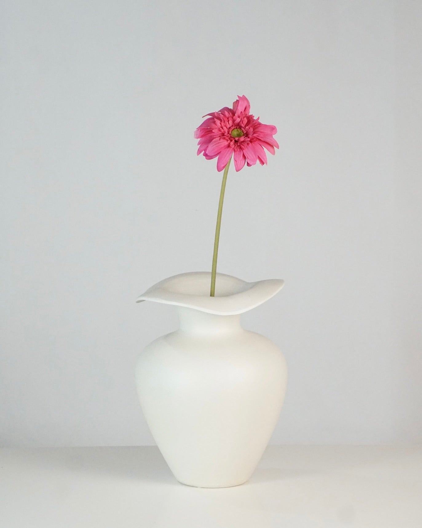 Gerbera Pink
