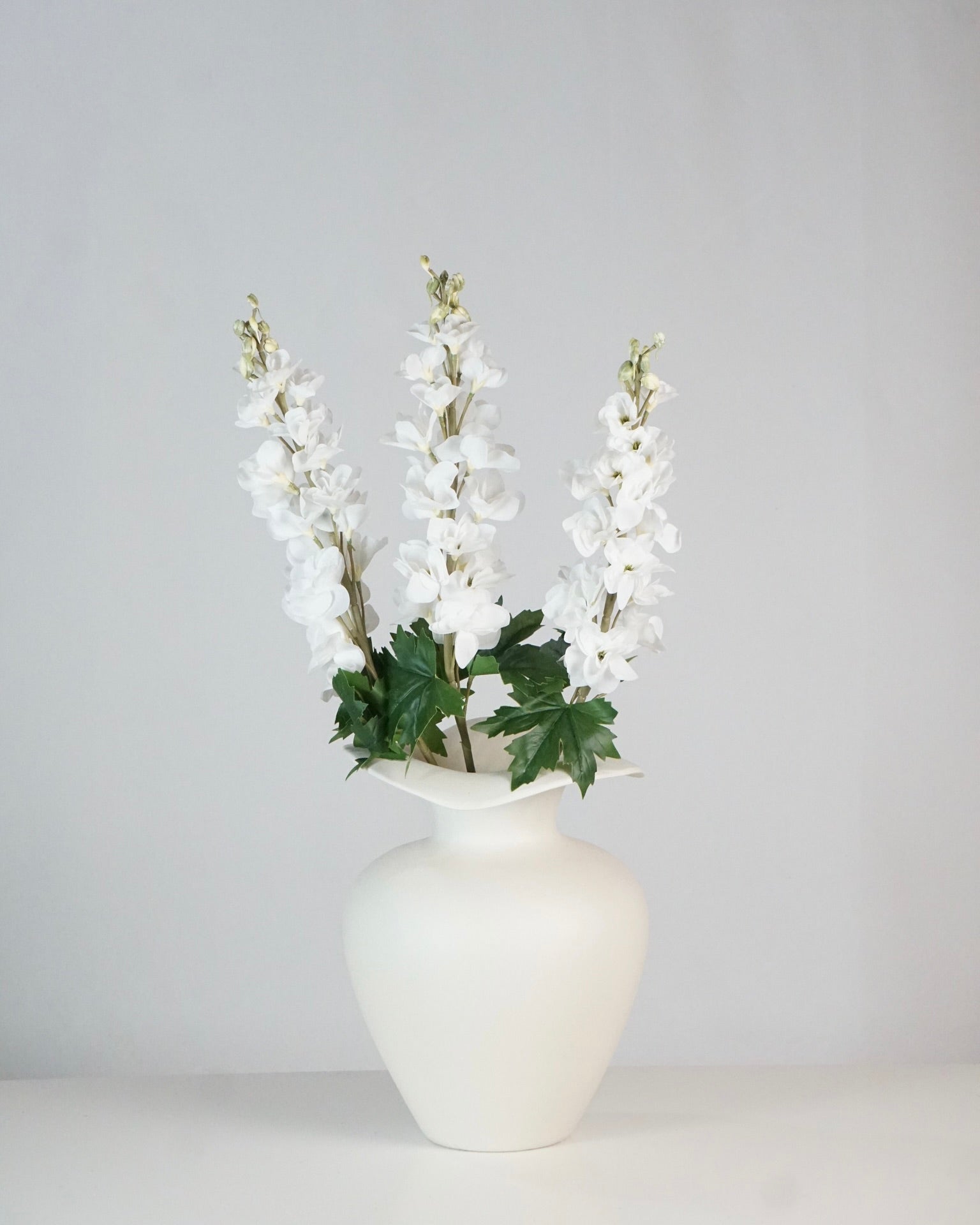 Delphinium blanc