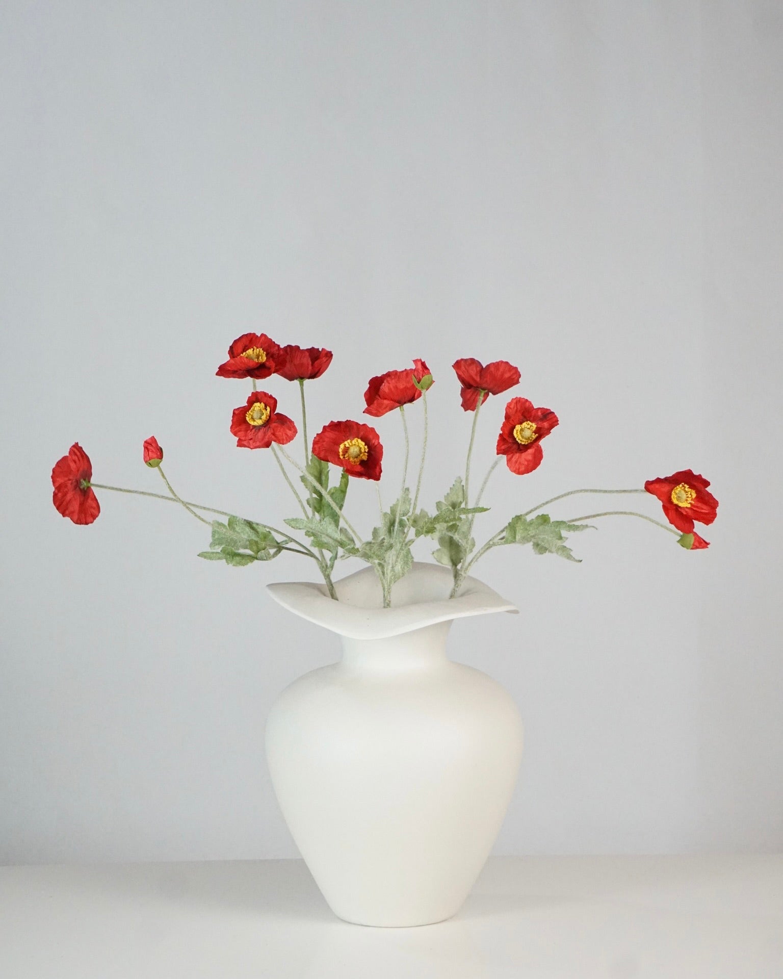 Coquelicot rouge