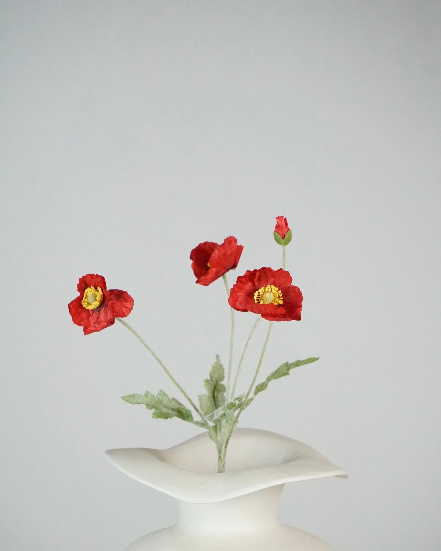 Poppy Rot