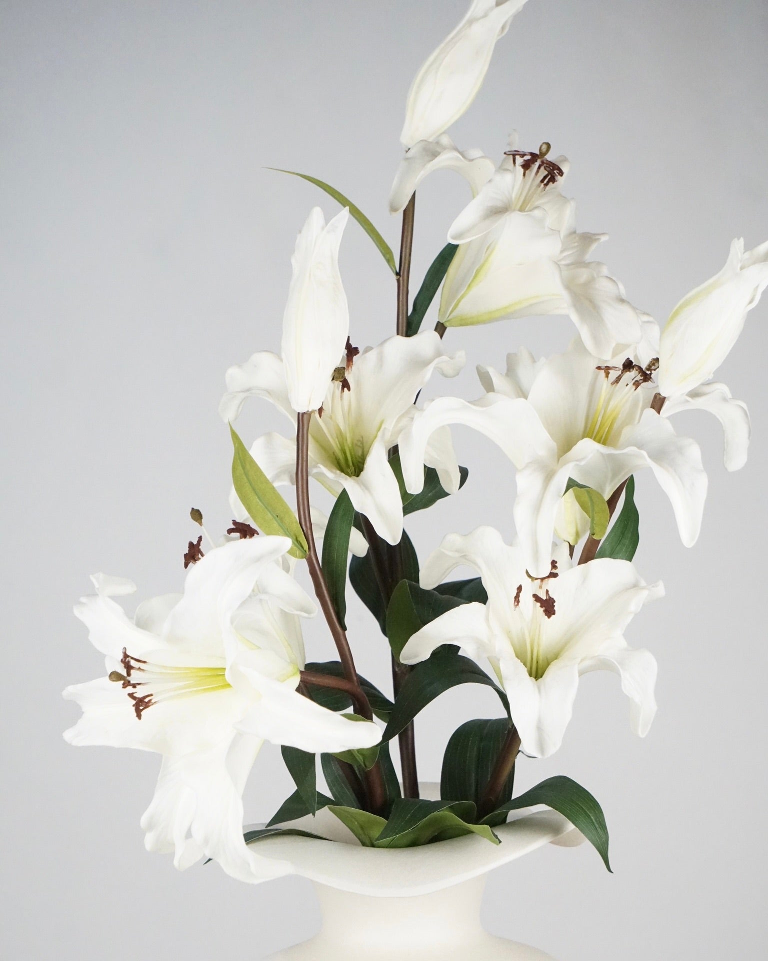 Elegant Lilies