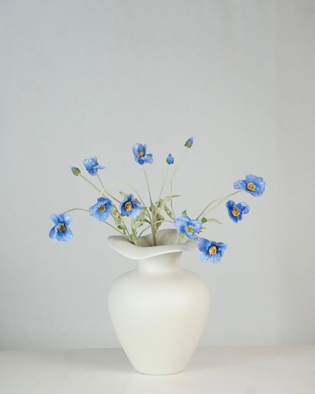 Poppy Blau