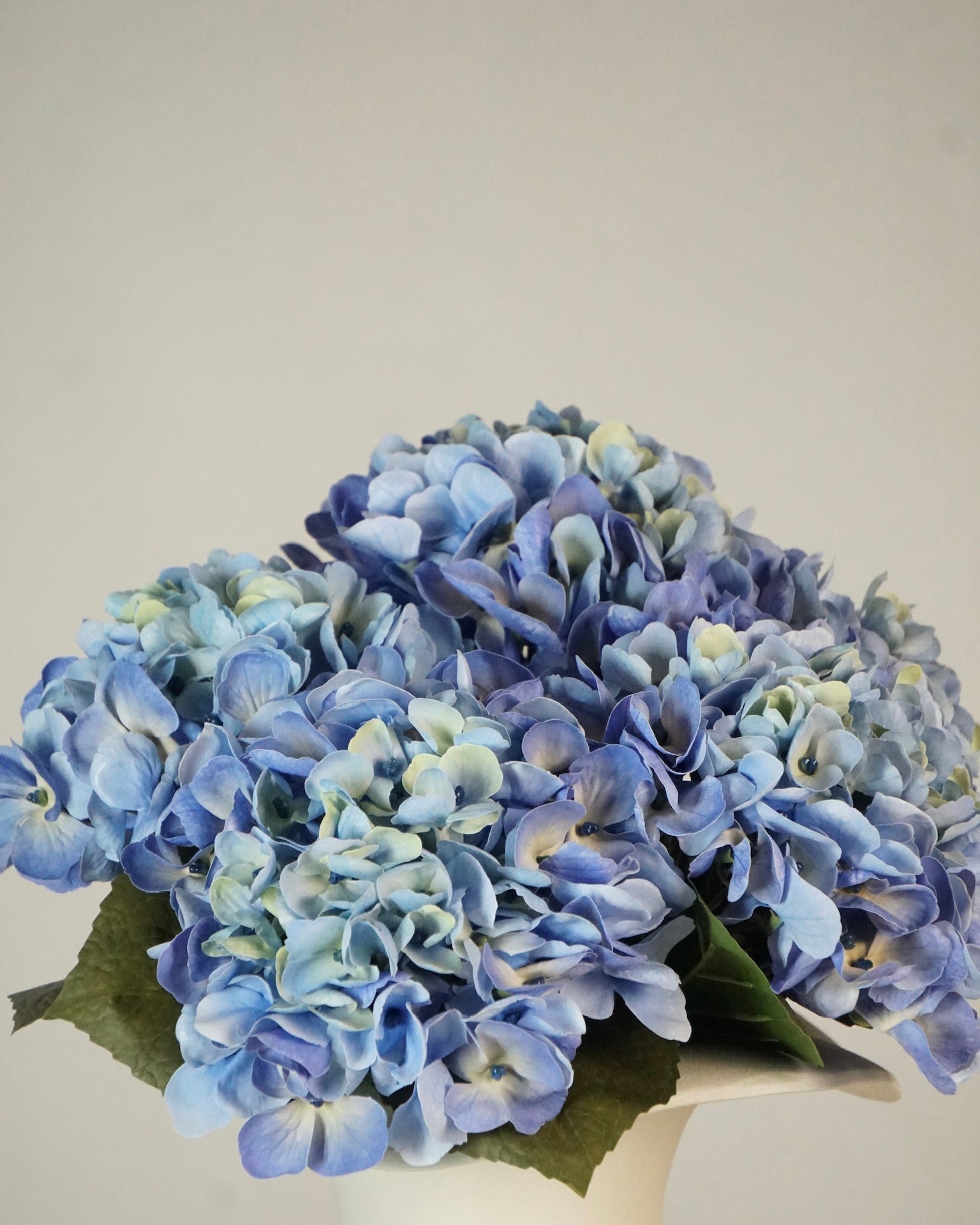 Bouquet d'hortensias bleus
