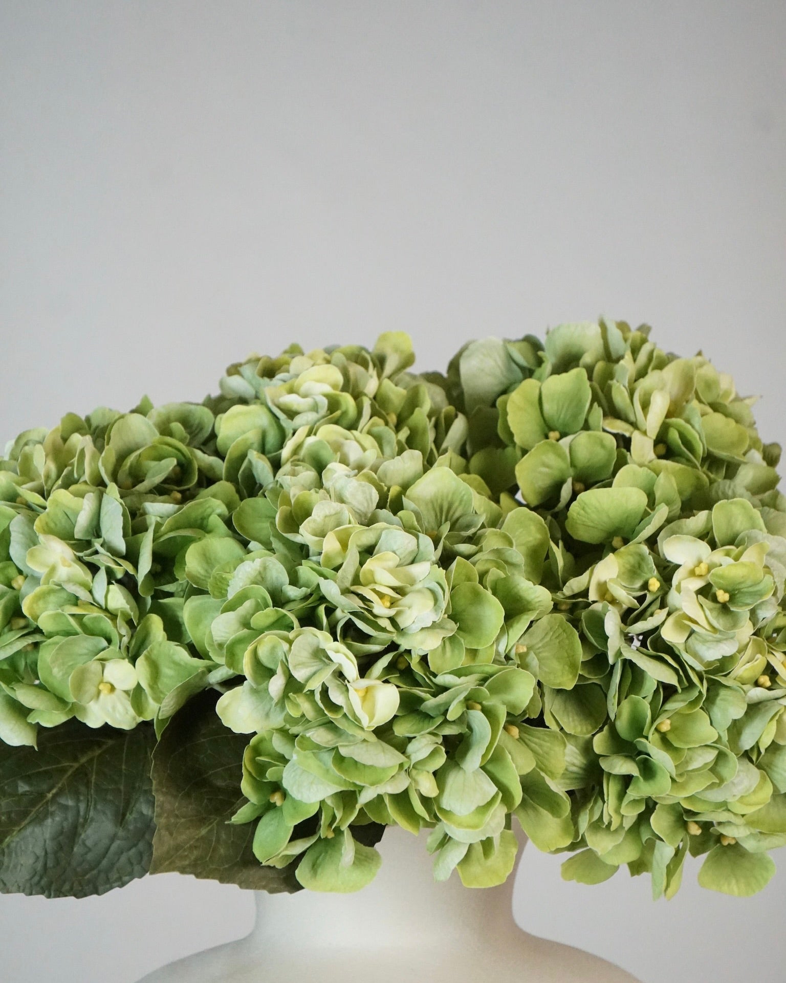Hortensien Bouquet Grün