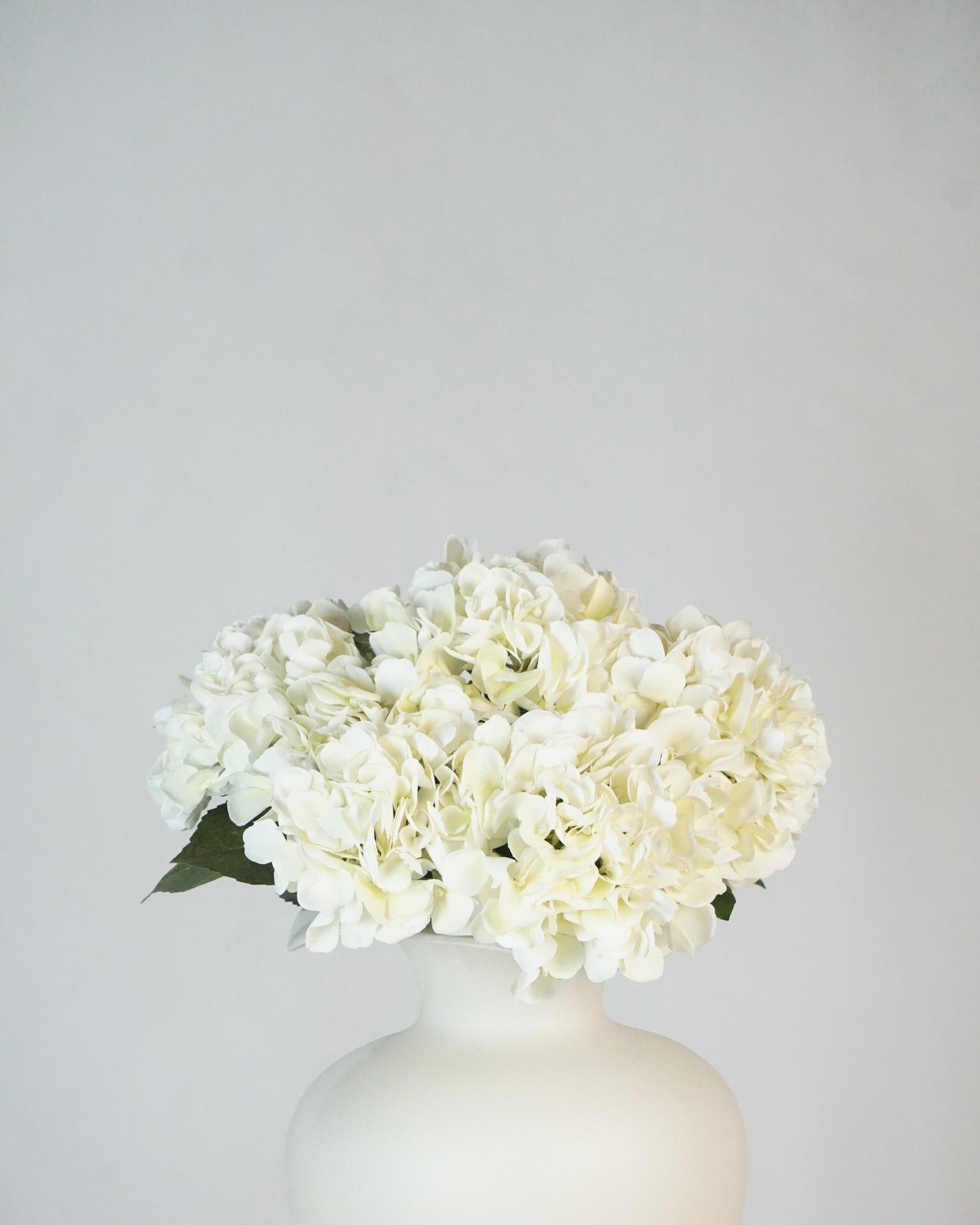 Hortensien Bouquet Weiss
