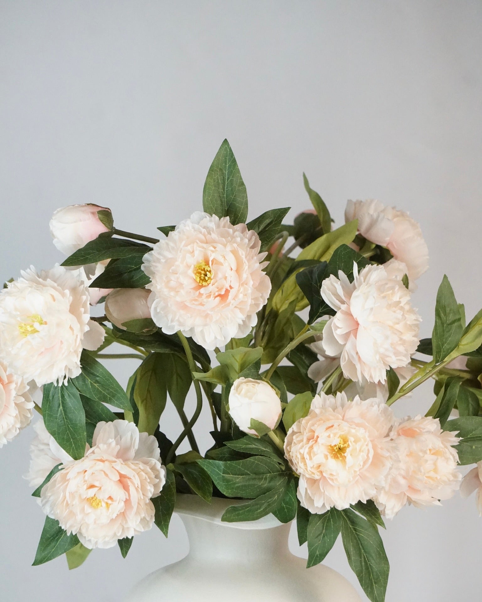 Pfingstrosen Bouquet Apricot