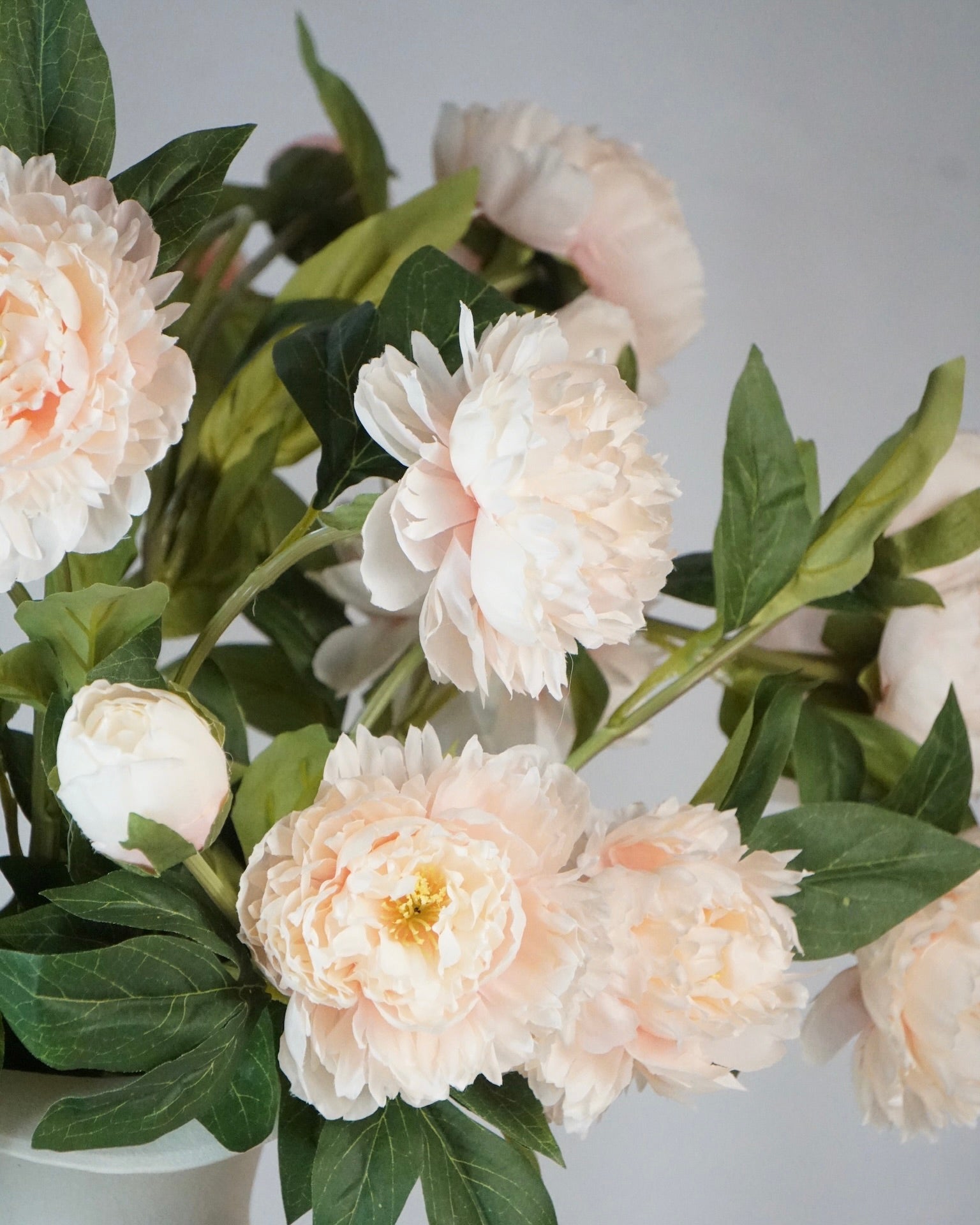 Pfingstrosen Bouquet Apricot