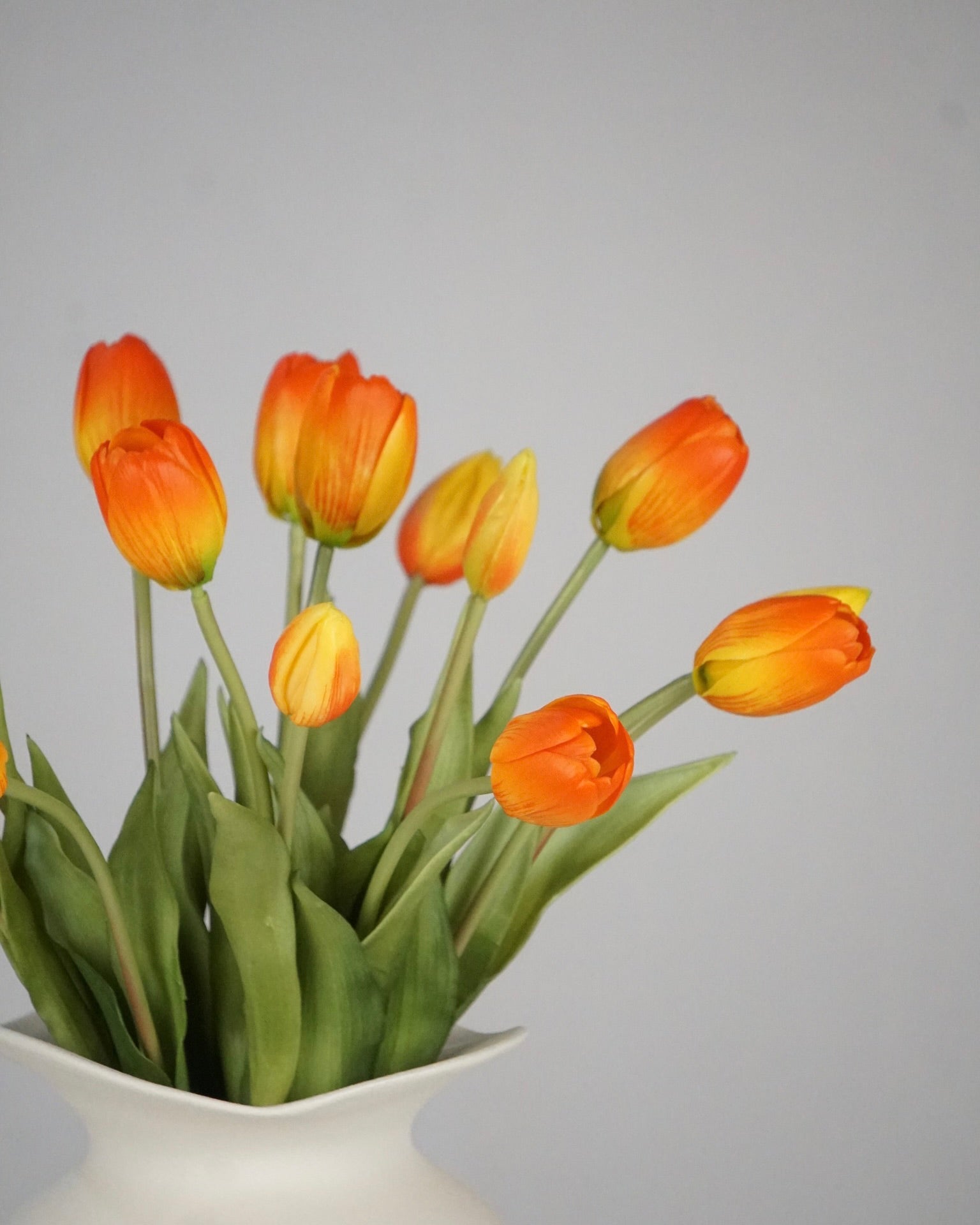 Tulipes oranges