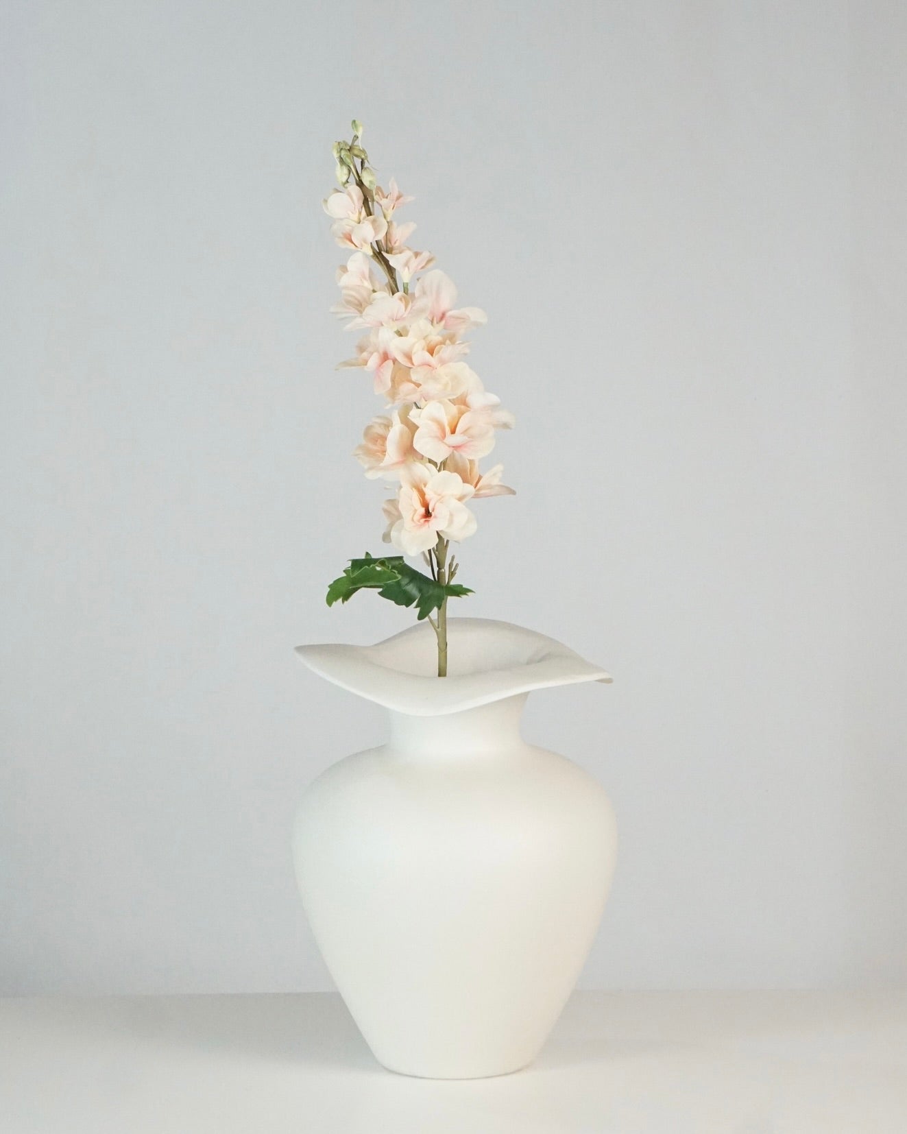 Delphinium Apricot